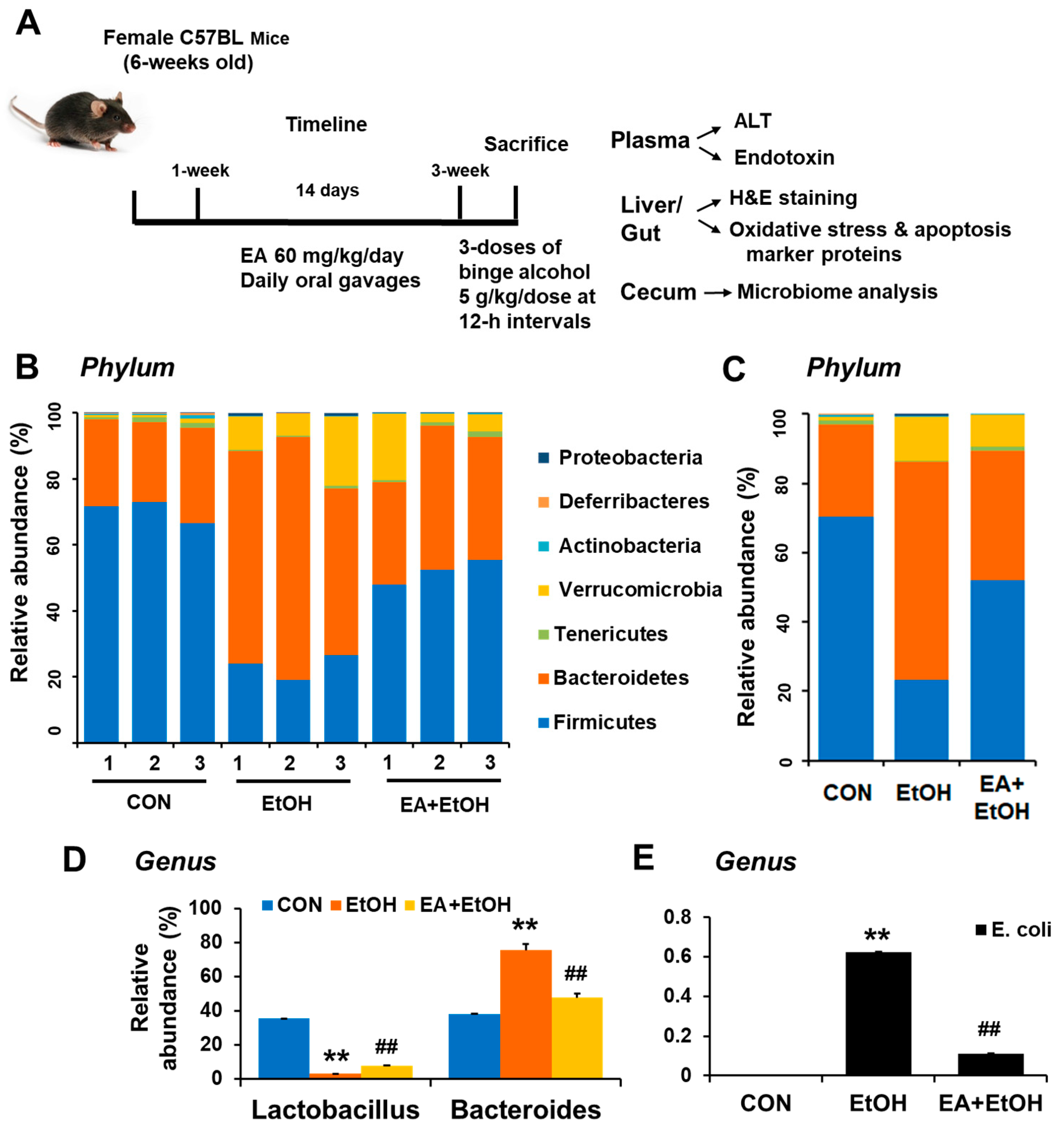 Antioxidants 10 01386 g001