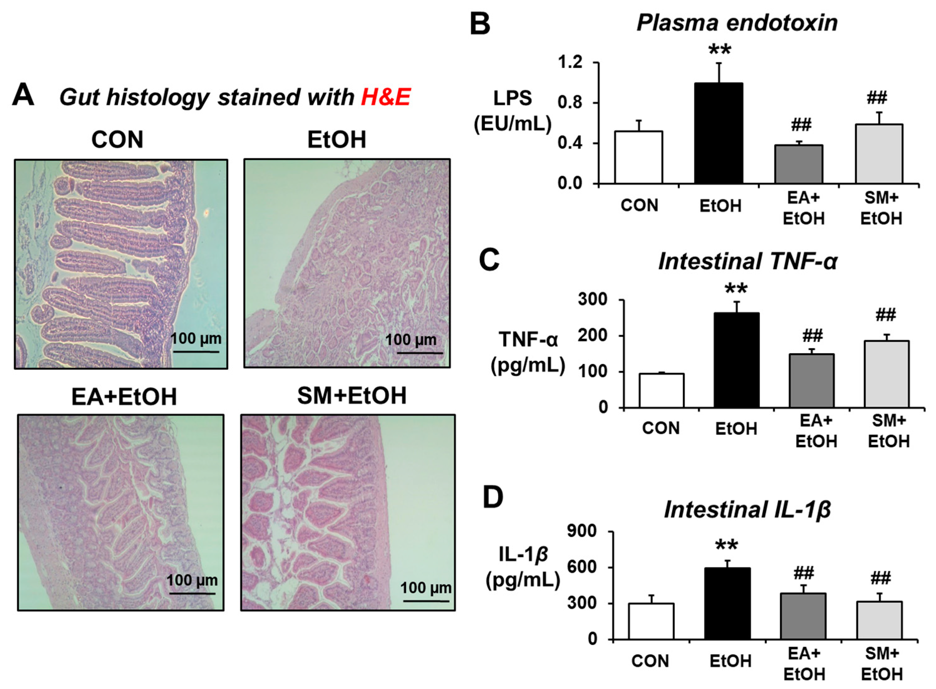Antioxidants 10 01386 g002