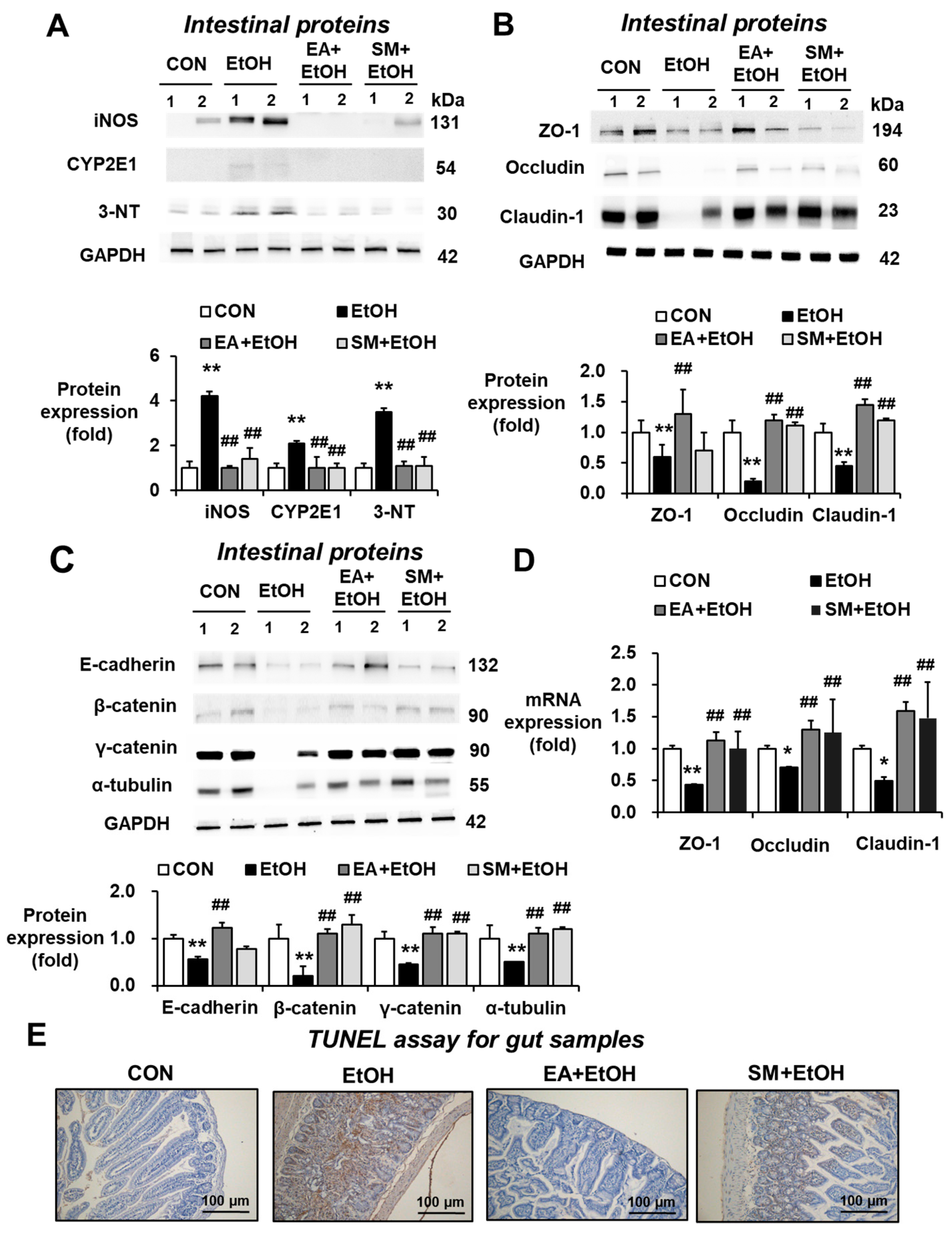 Antioxidants 10 01386 g003