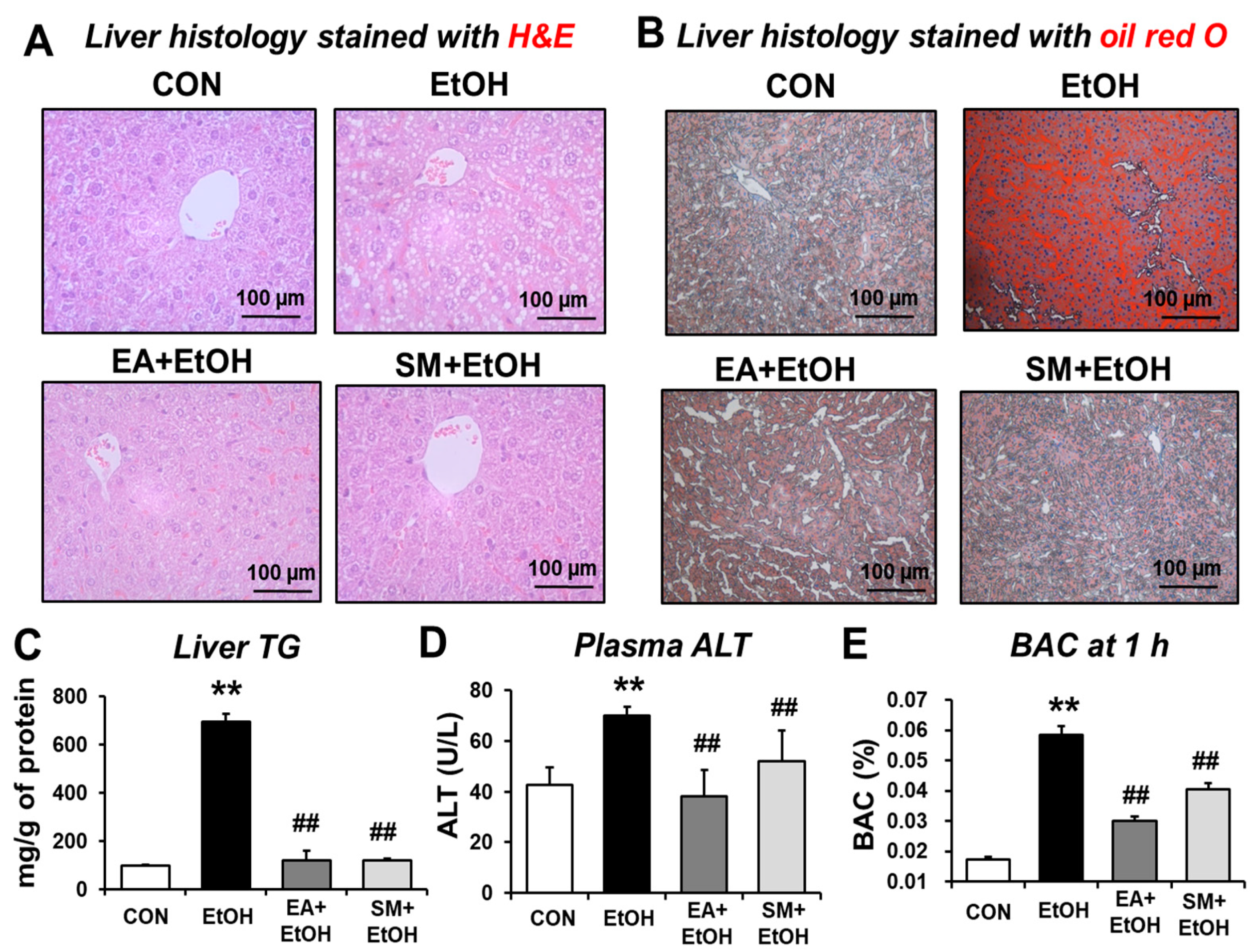 Antioxidants 10 01386 g004