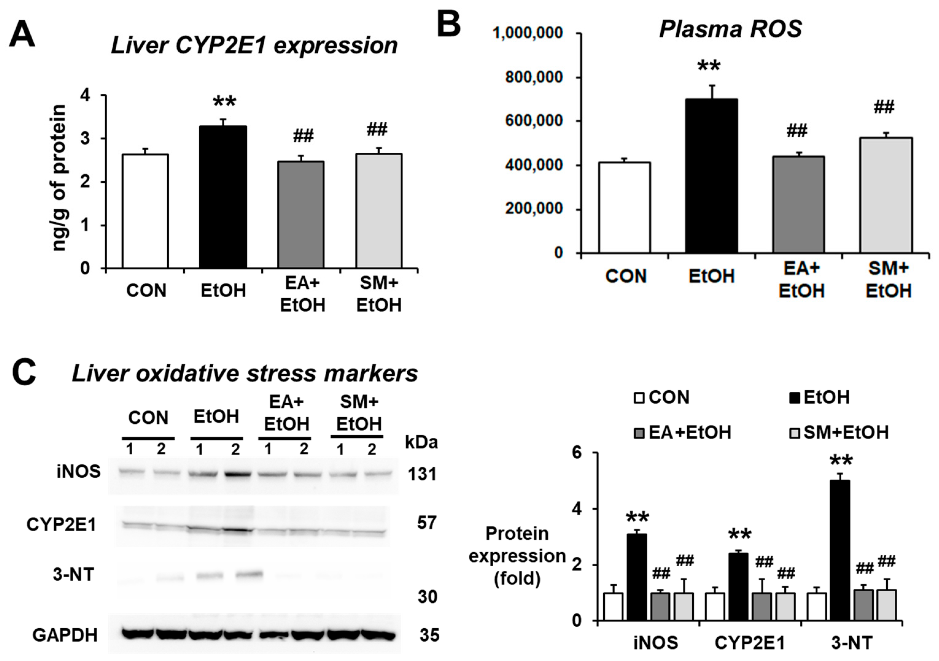 Antioxidants 10 01386 g005
