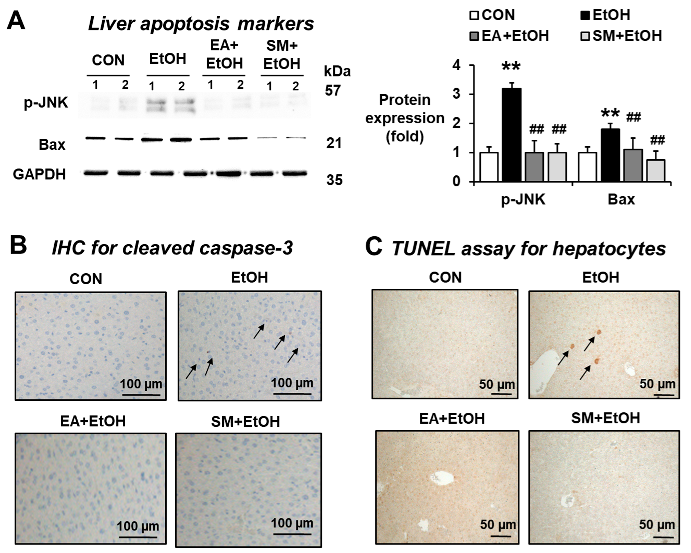 Antioxidants 10 01386 g006