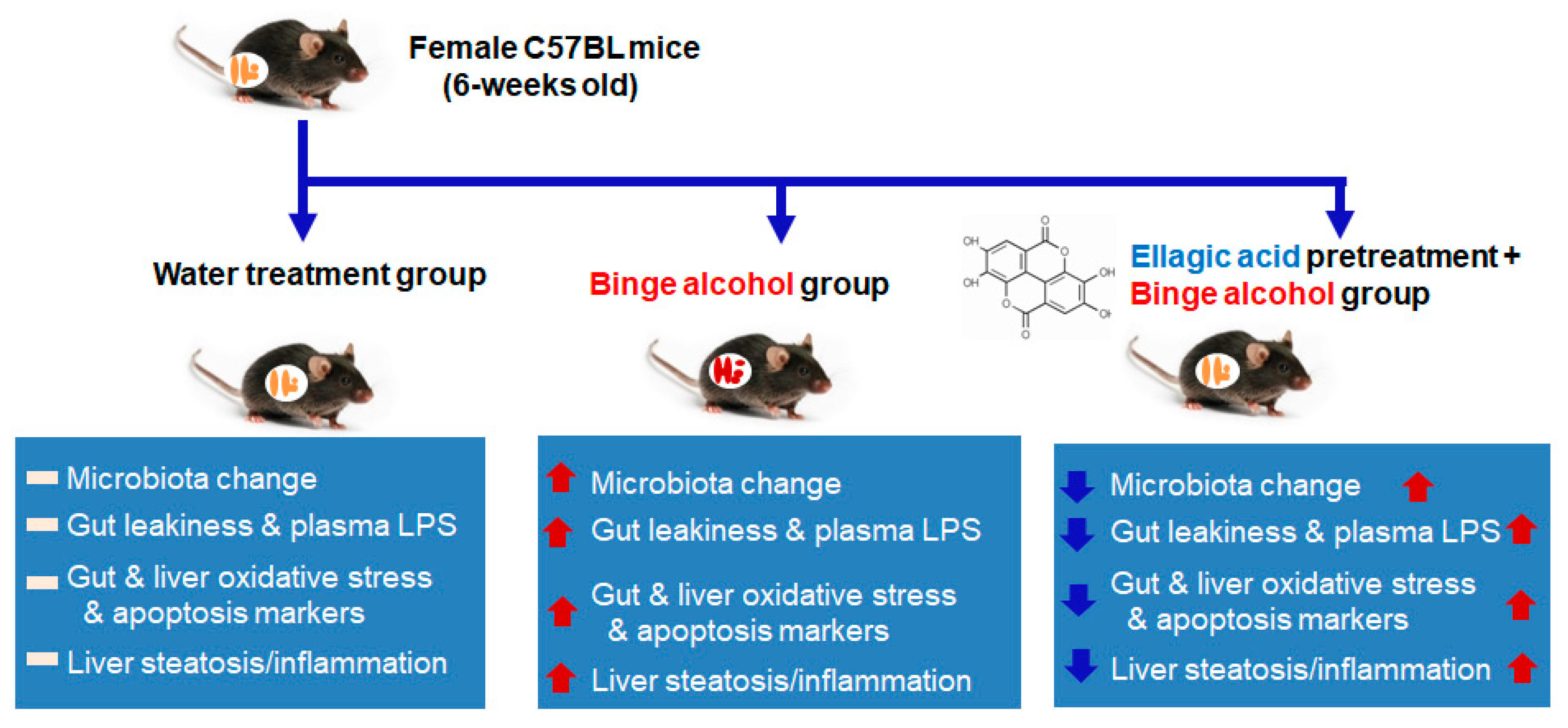 Antioxidants 10 01386 g007