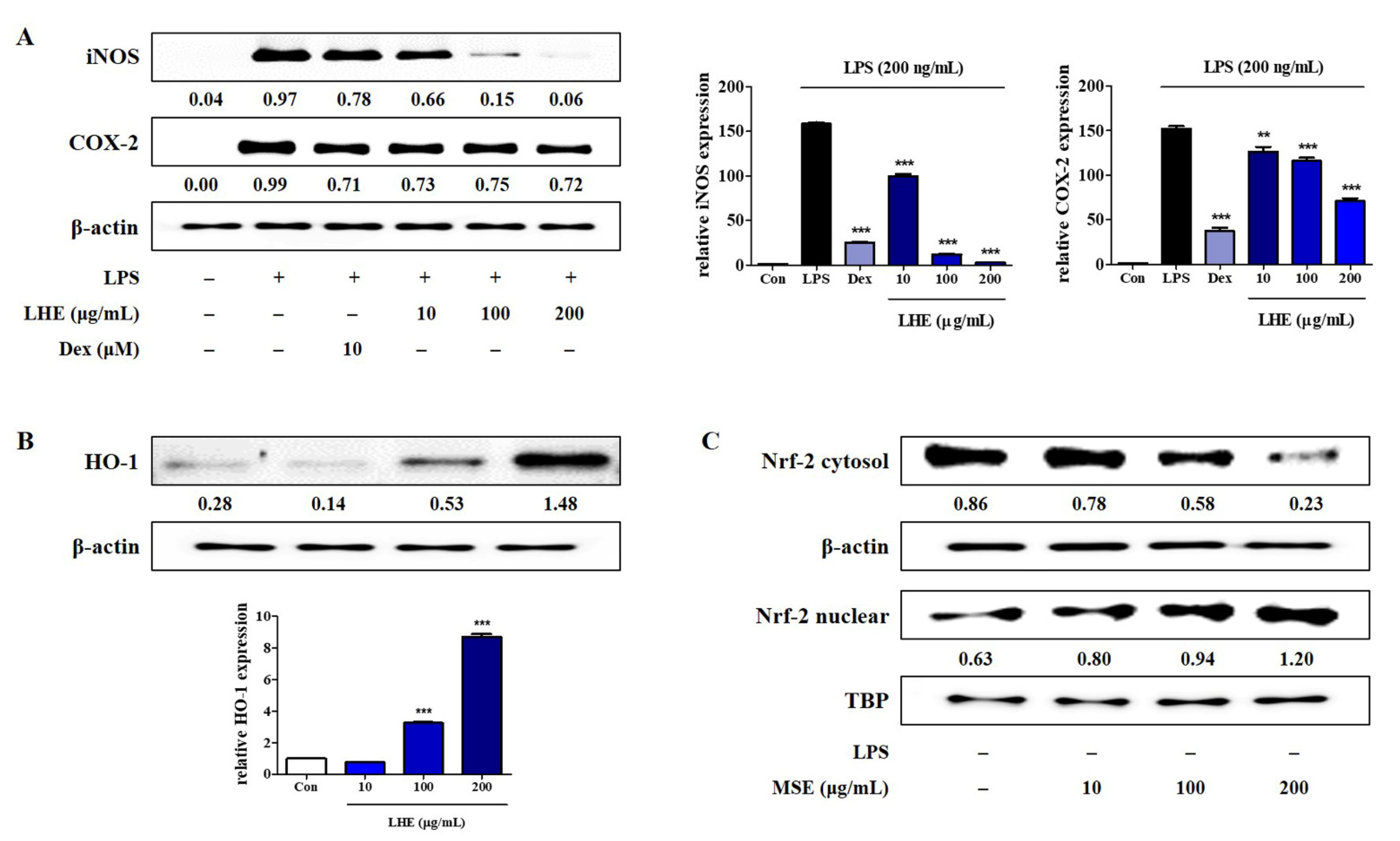 Antioxidants 10 01387 g002