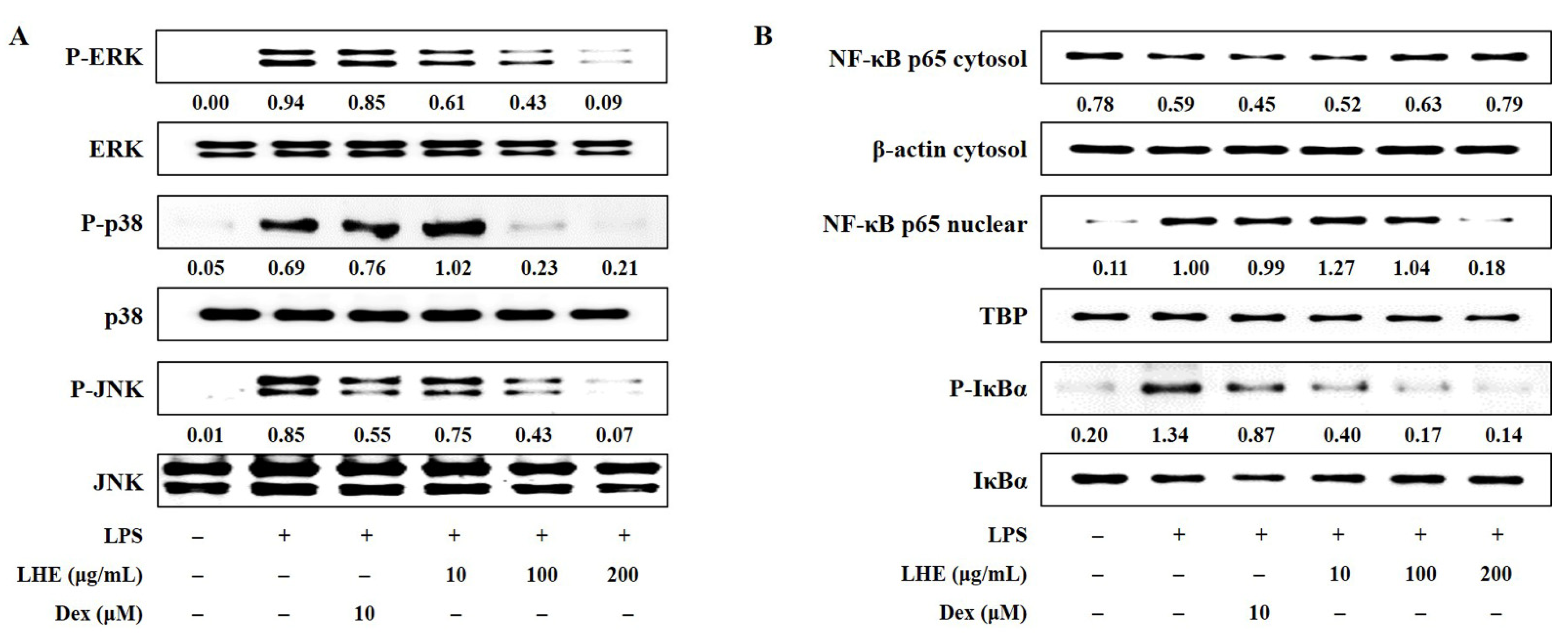 Antioxidants 10 01387 g003