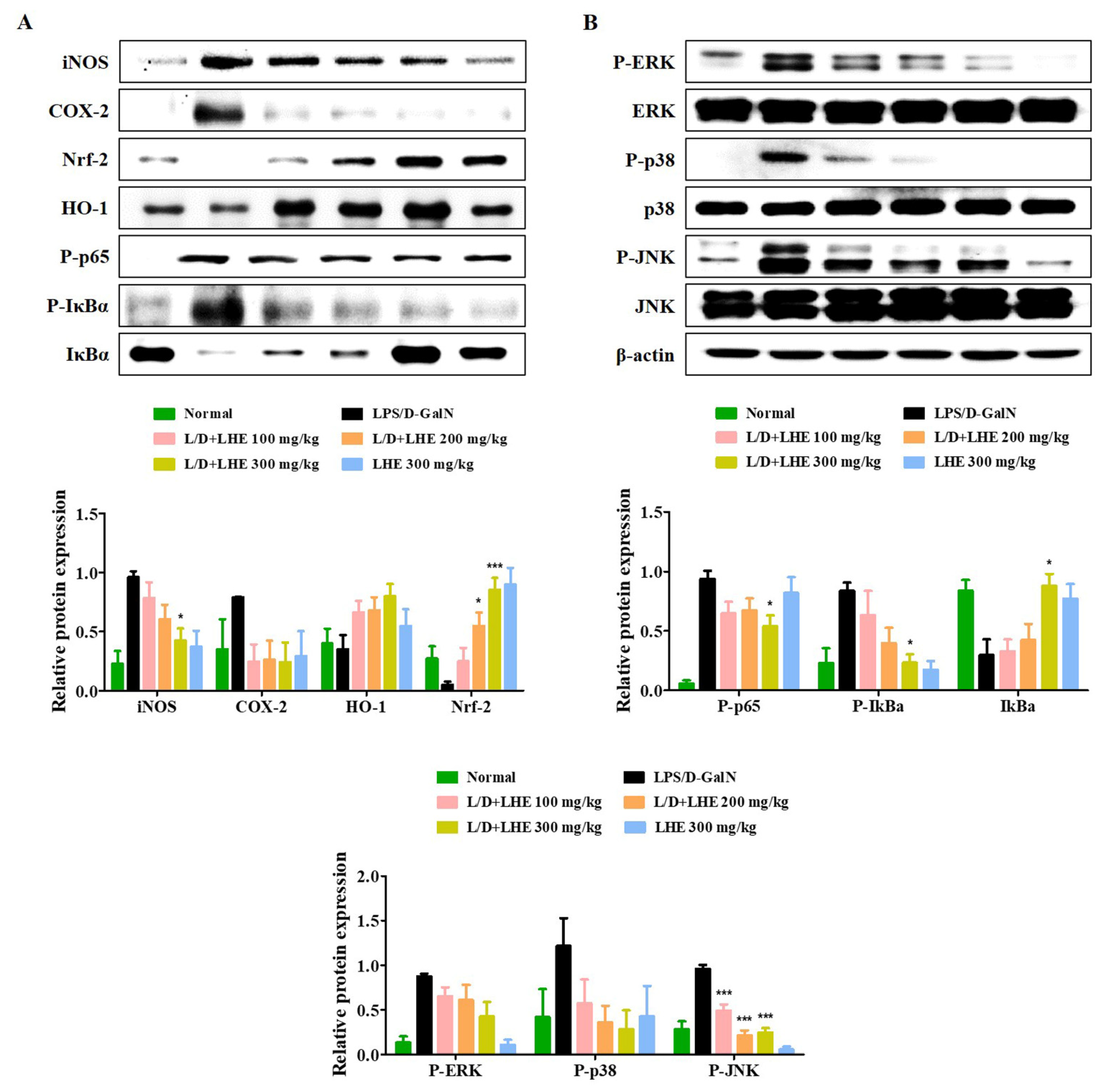 Antioxidants 10 01387 g006