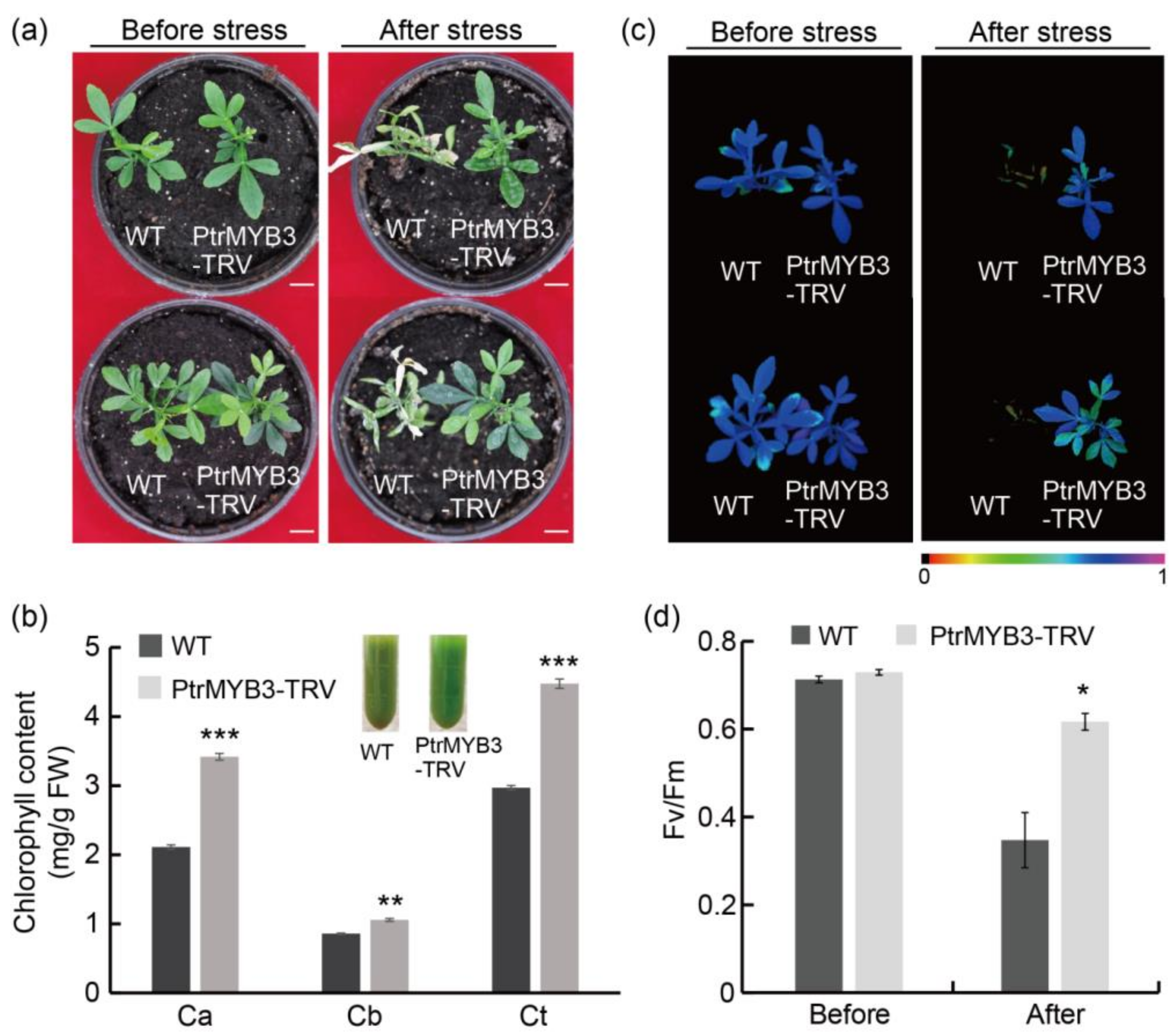 Antioxidants 10 01388 g006