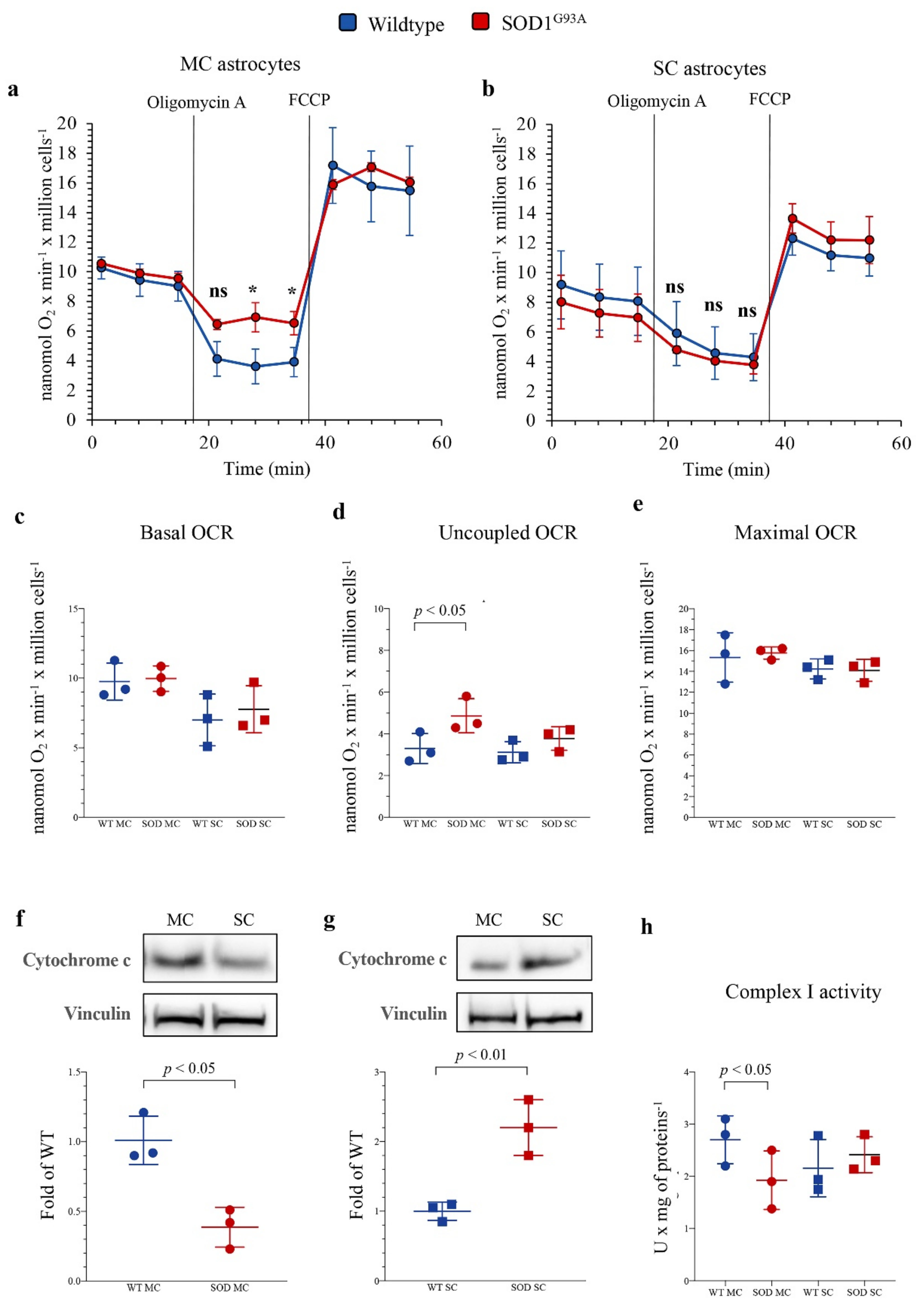 Antioxidants 10 01392 g003