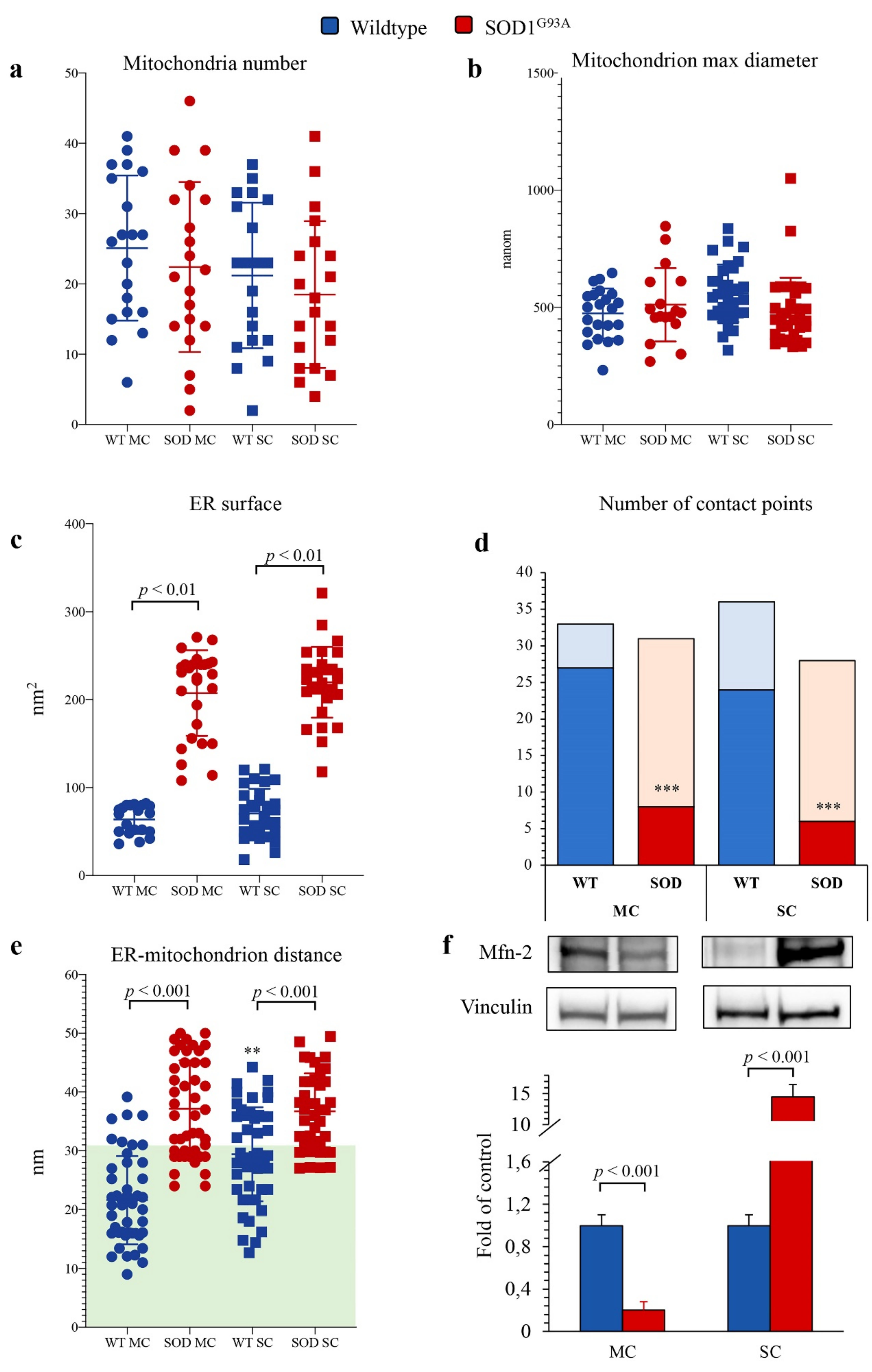 Antioxidants 10 01392 g006