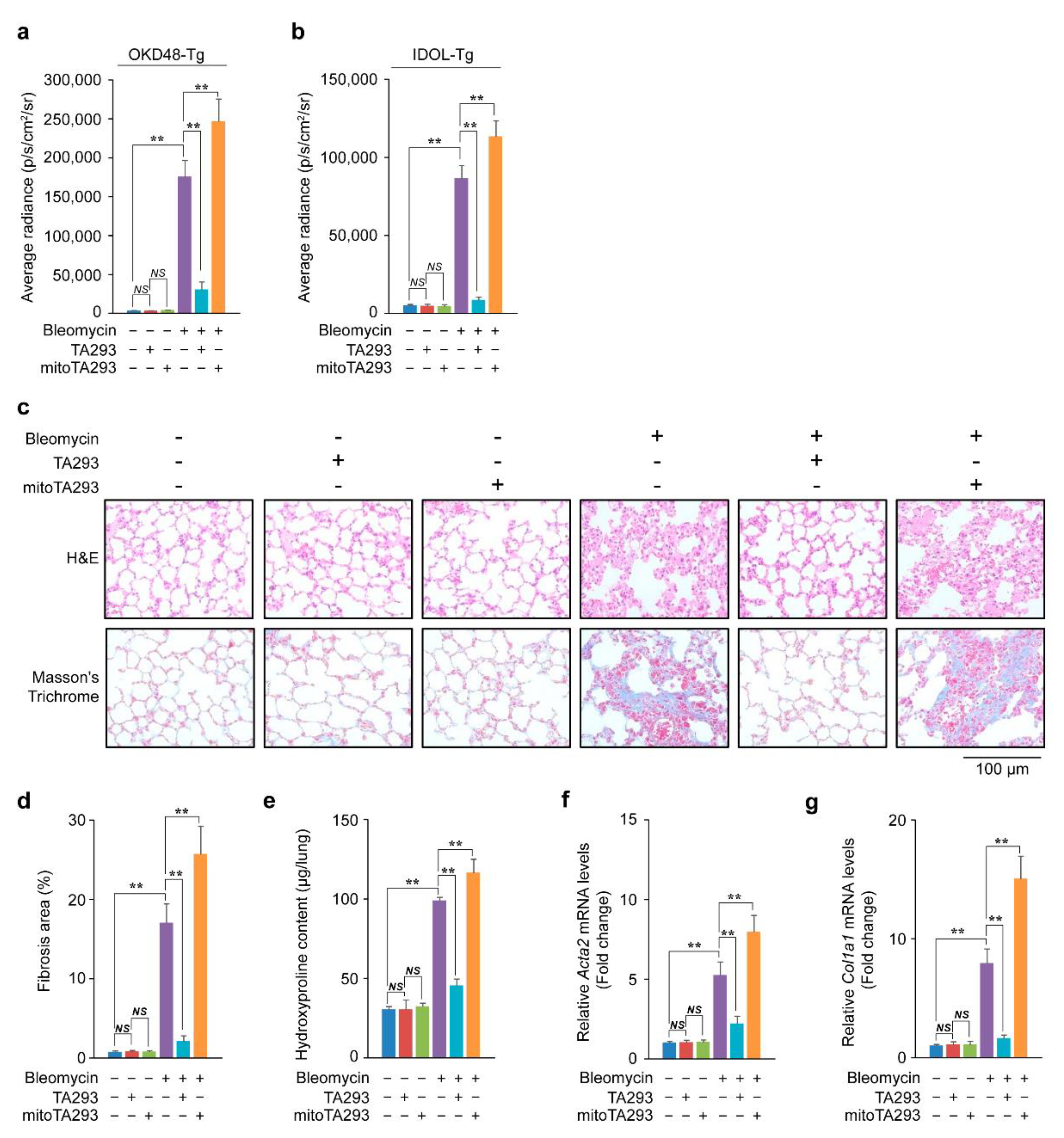 Antioxidants 10 01398 g001 Antioxidants 10 01398 g001