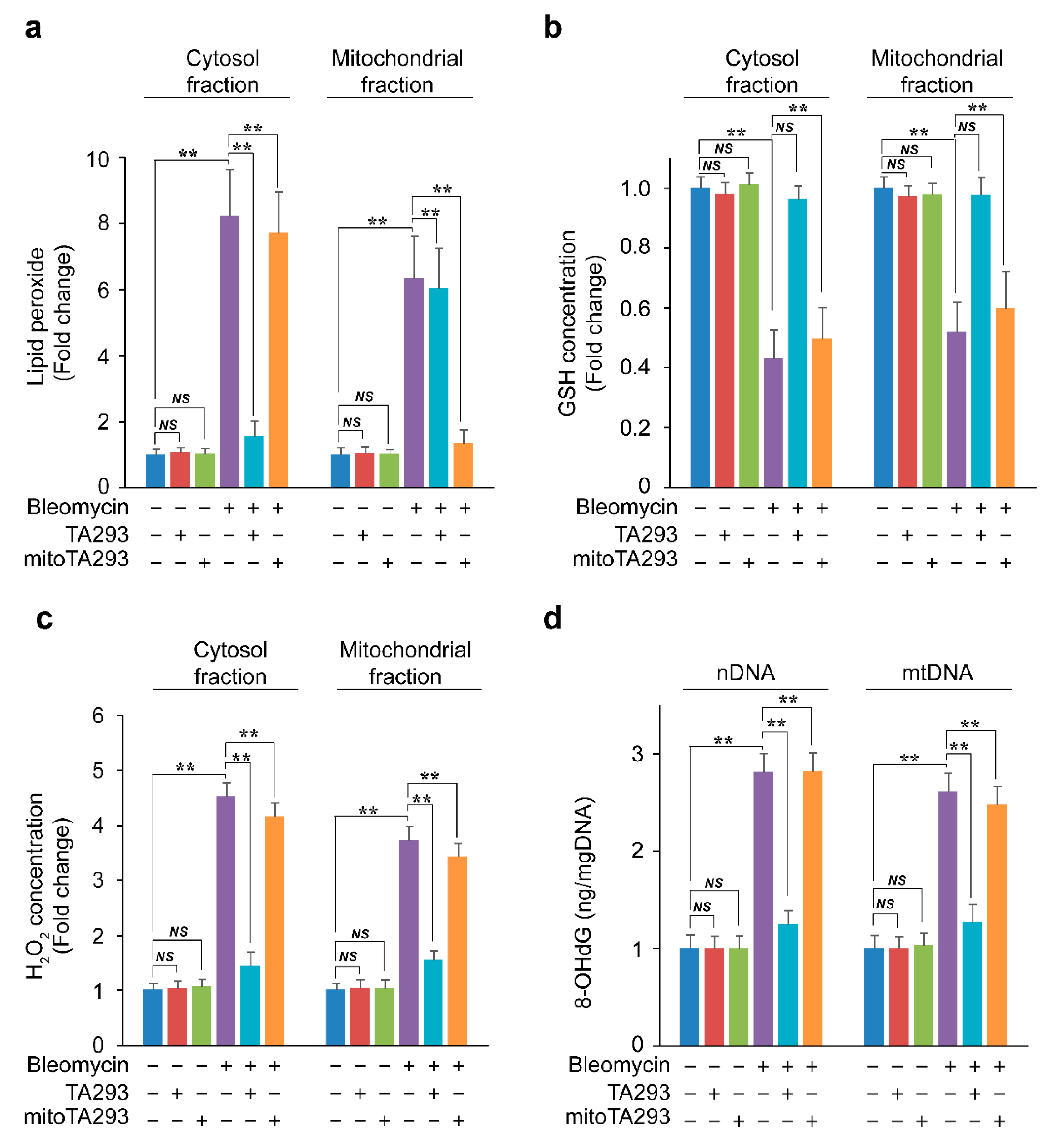 Antioxidants 10 01398 g004 Antioxidants 10 01398 g004