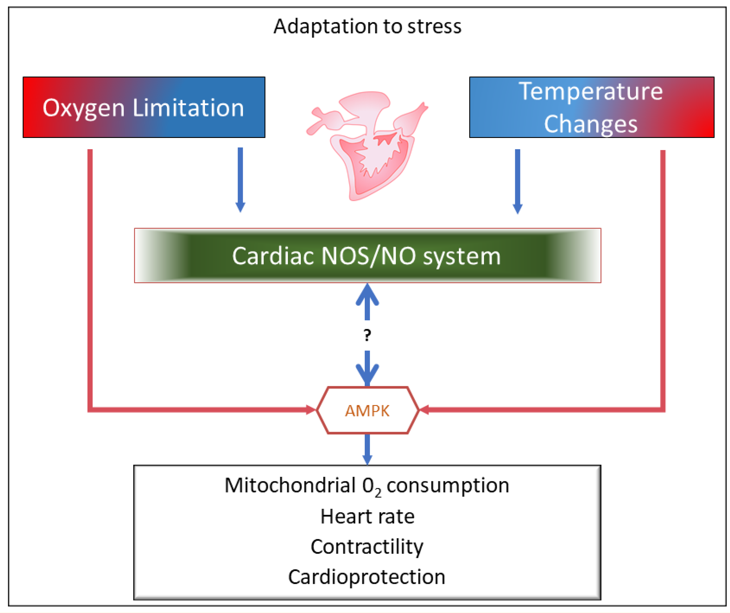 Antioxidants 10 01401 g001