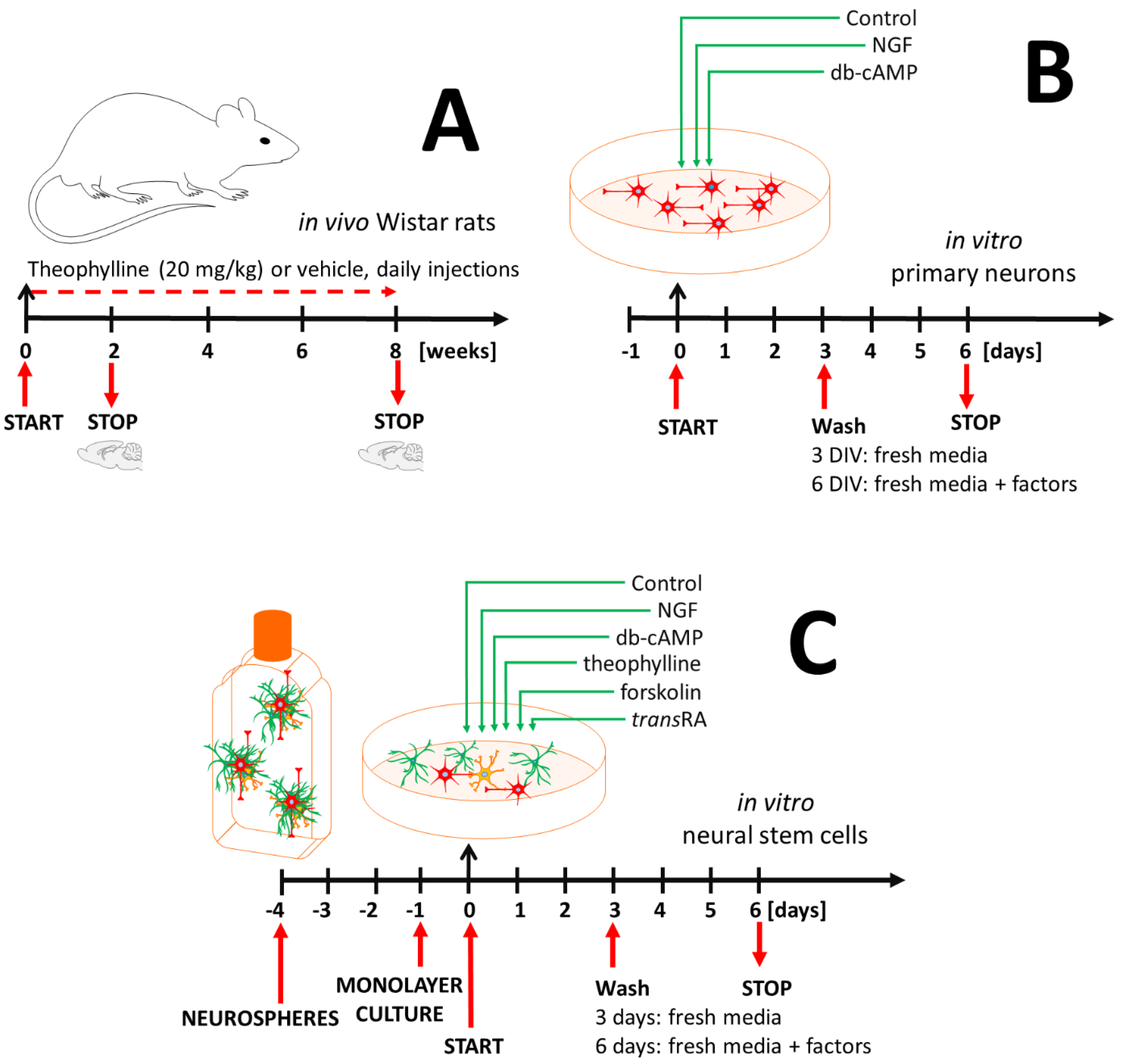 Antioxidants 10 01404 g001