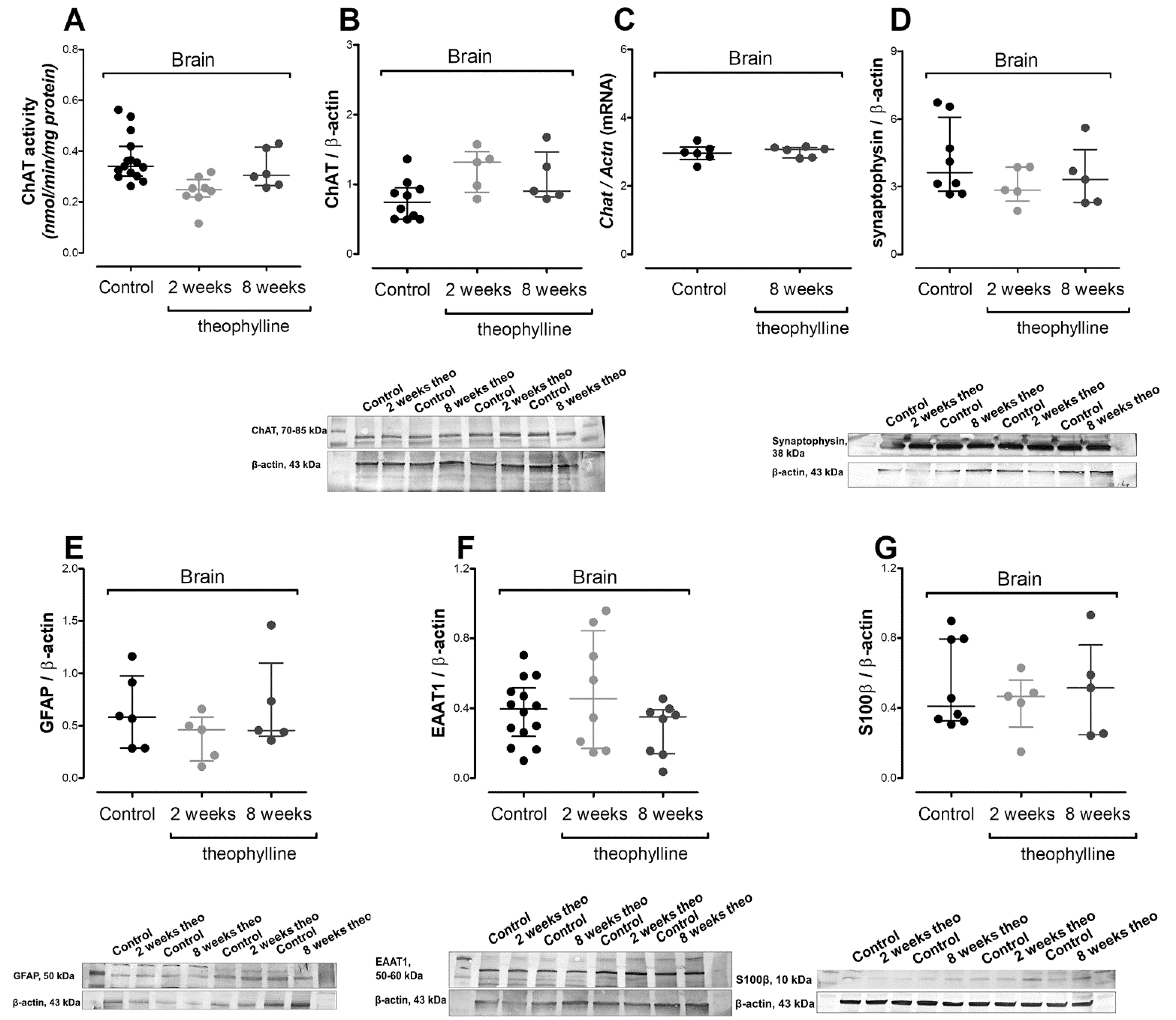 Antioxidants 10 01404 g006