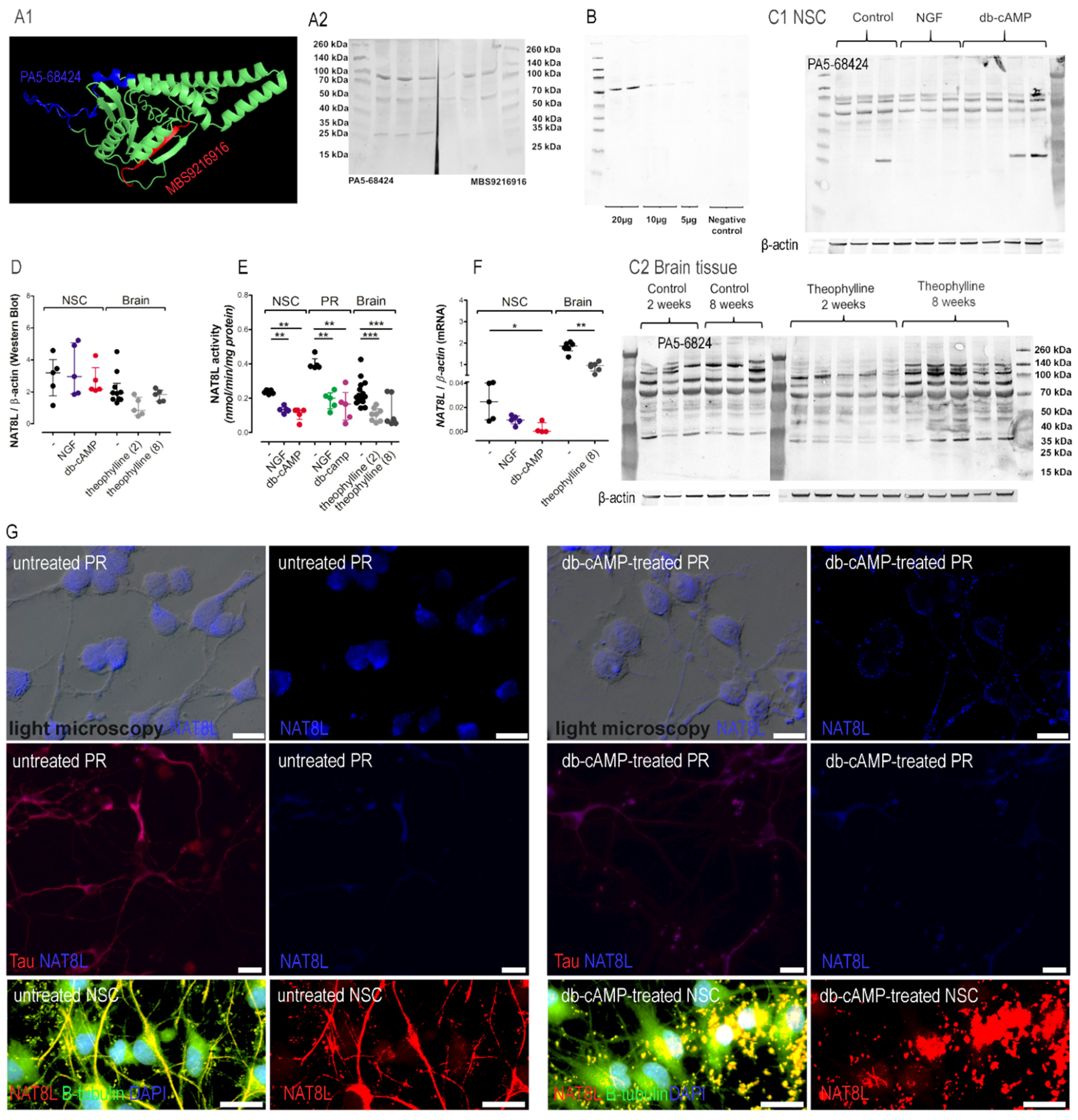 Antioxidants 10 01404 g007