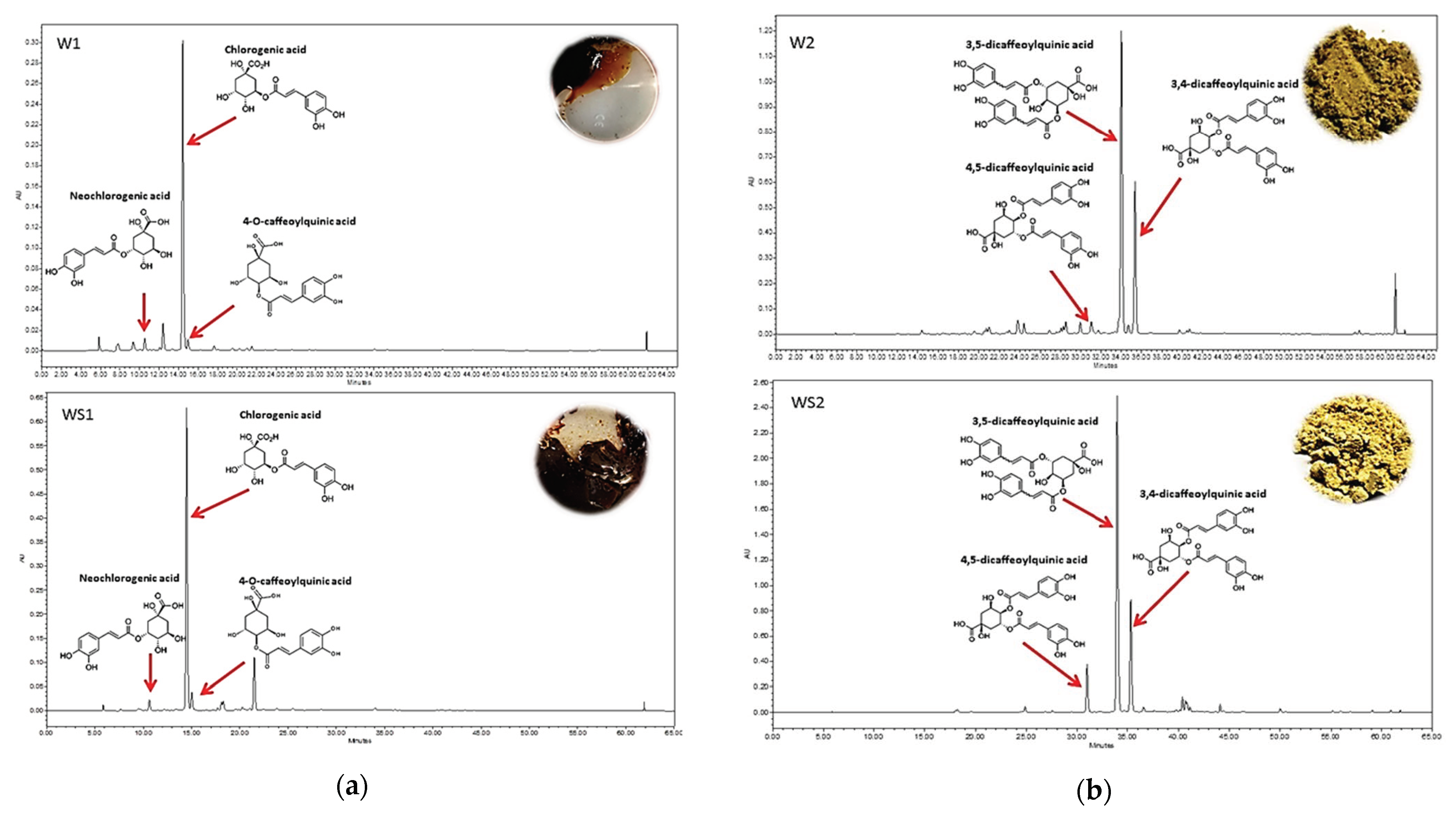 Antioxidants 10 01405 g002