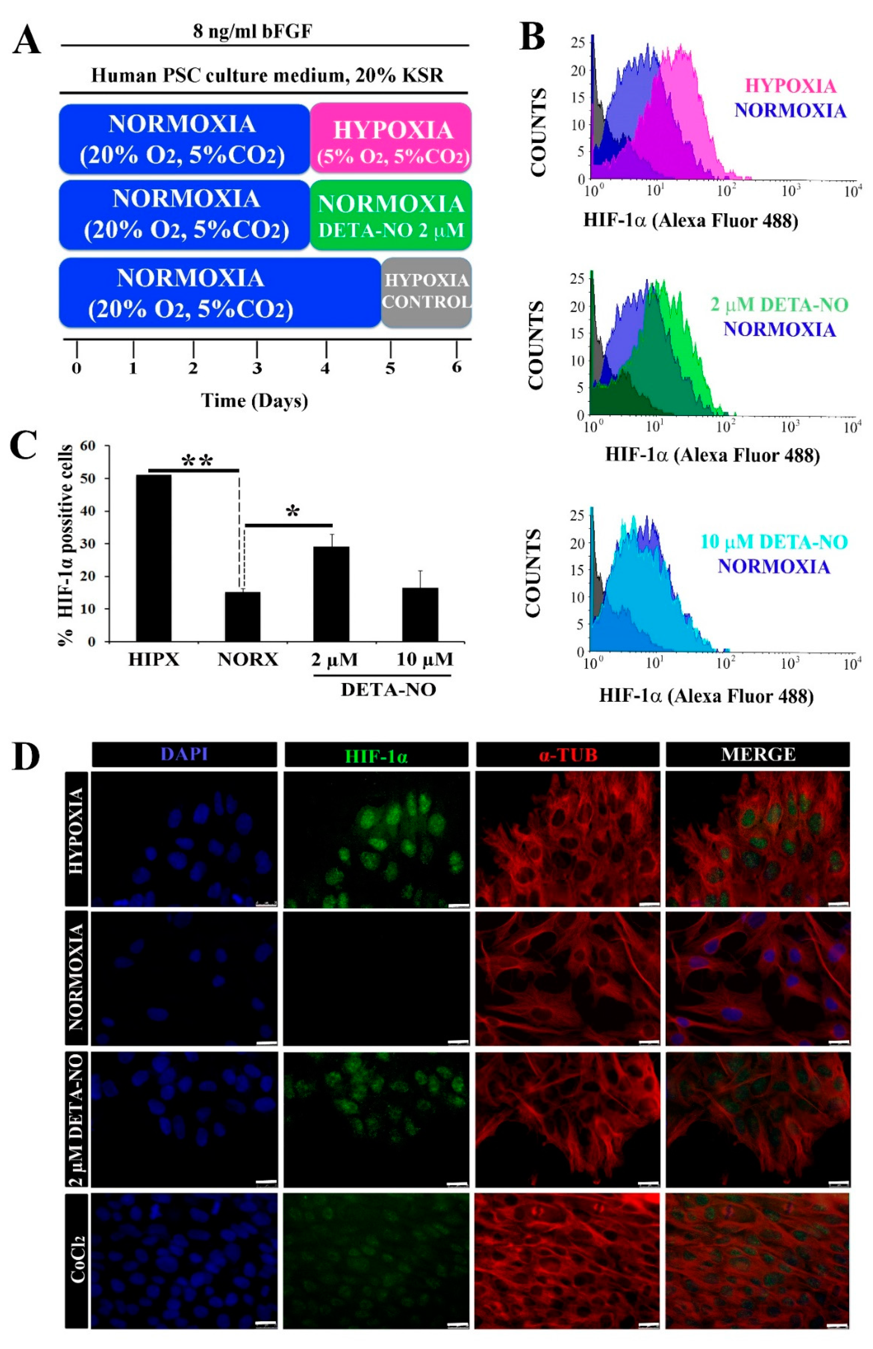 Antioxidants 10 01408 g001