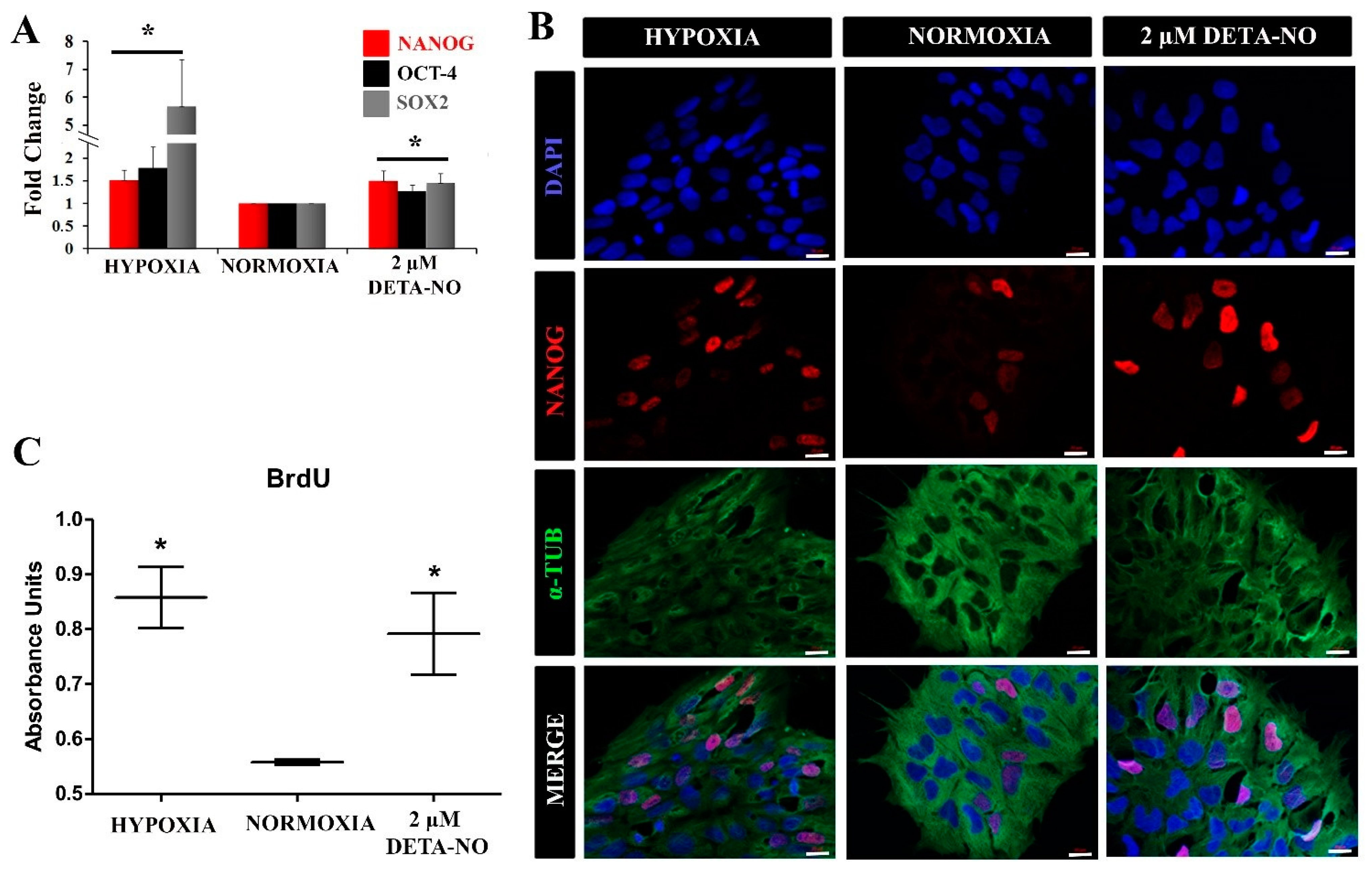 Antioxidants 10 01408 g003