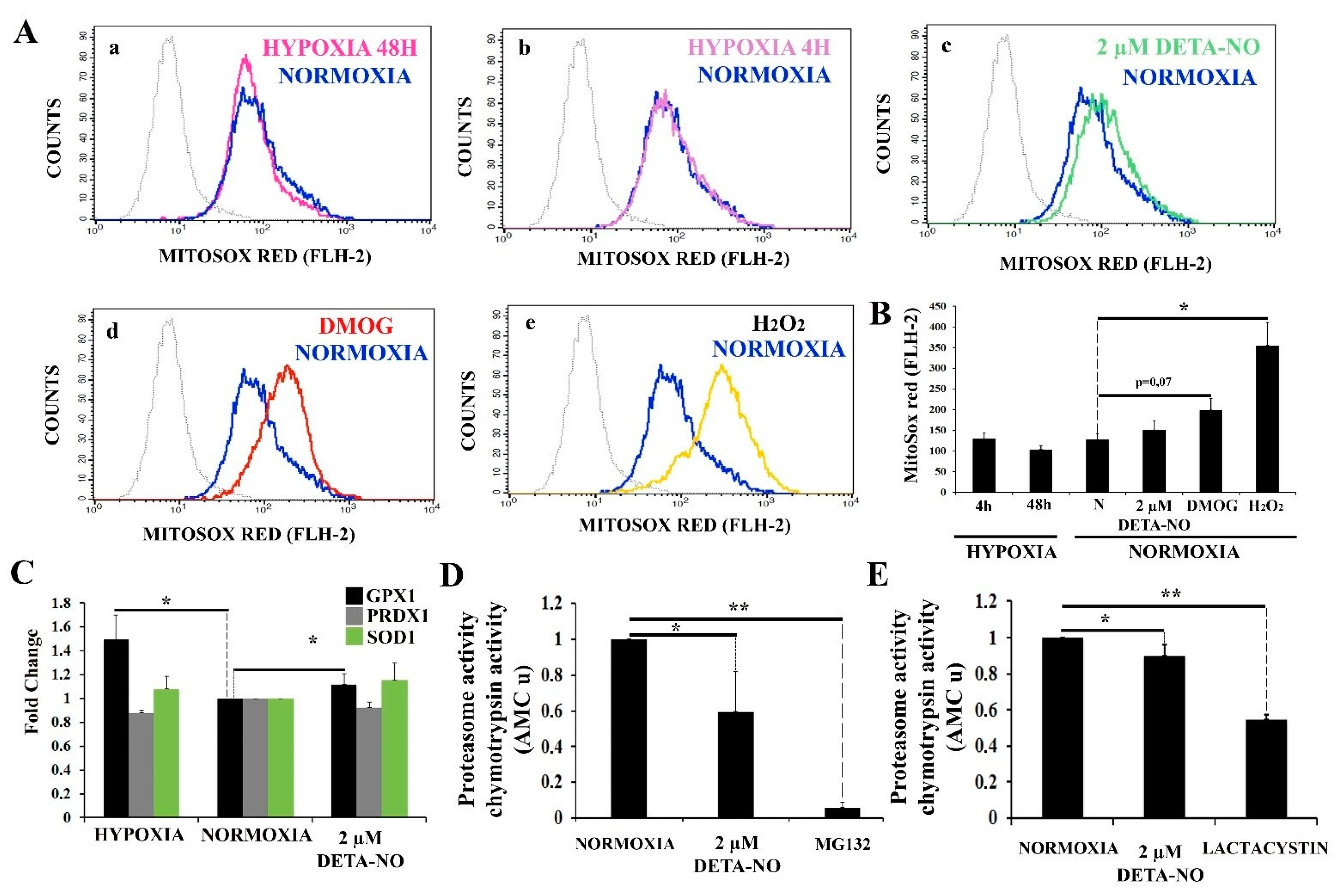Antioxidants 10 01408 g008