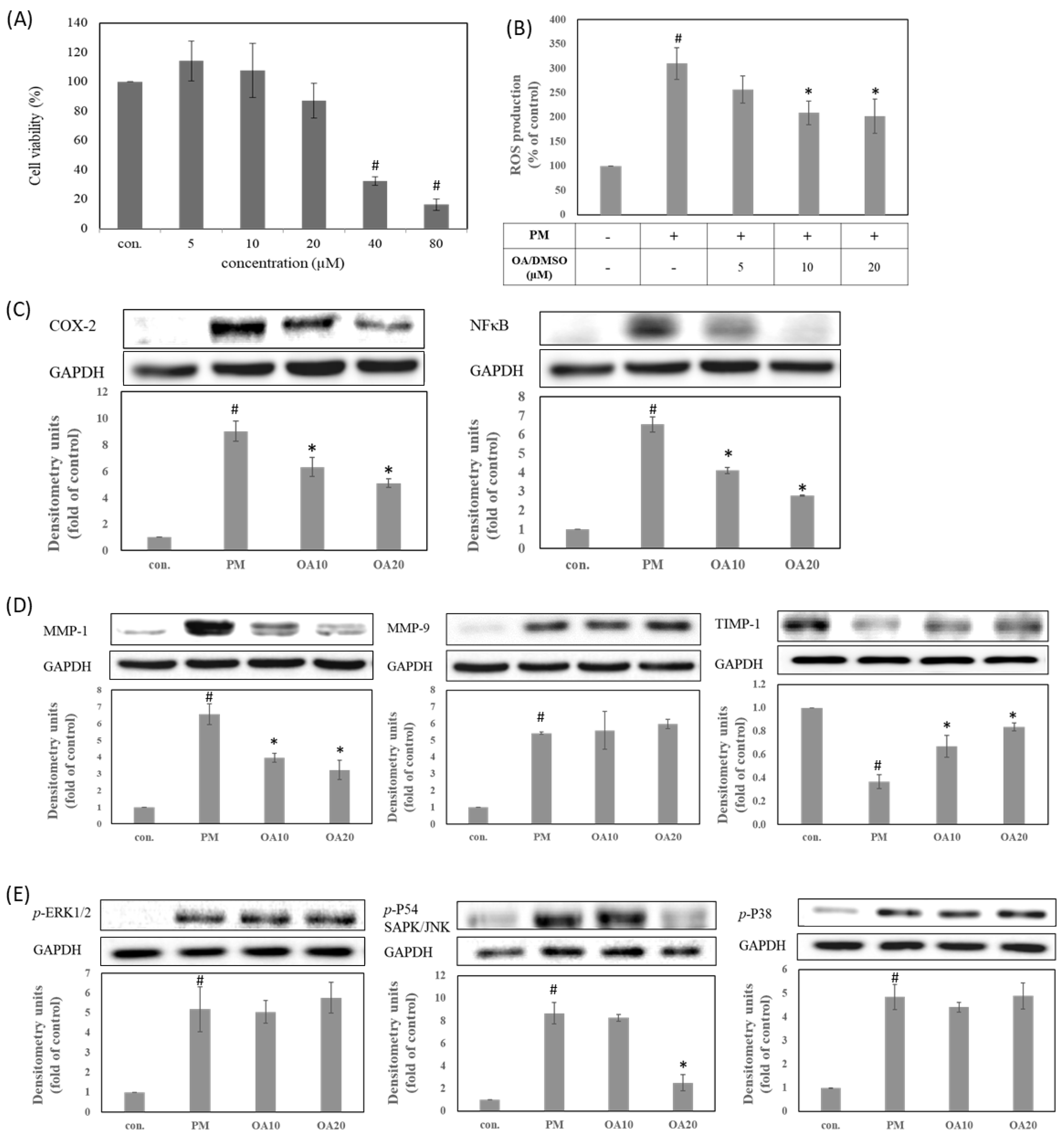 Antioxidants 10 01411 g001
