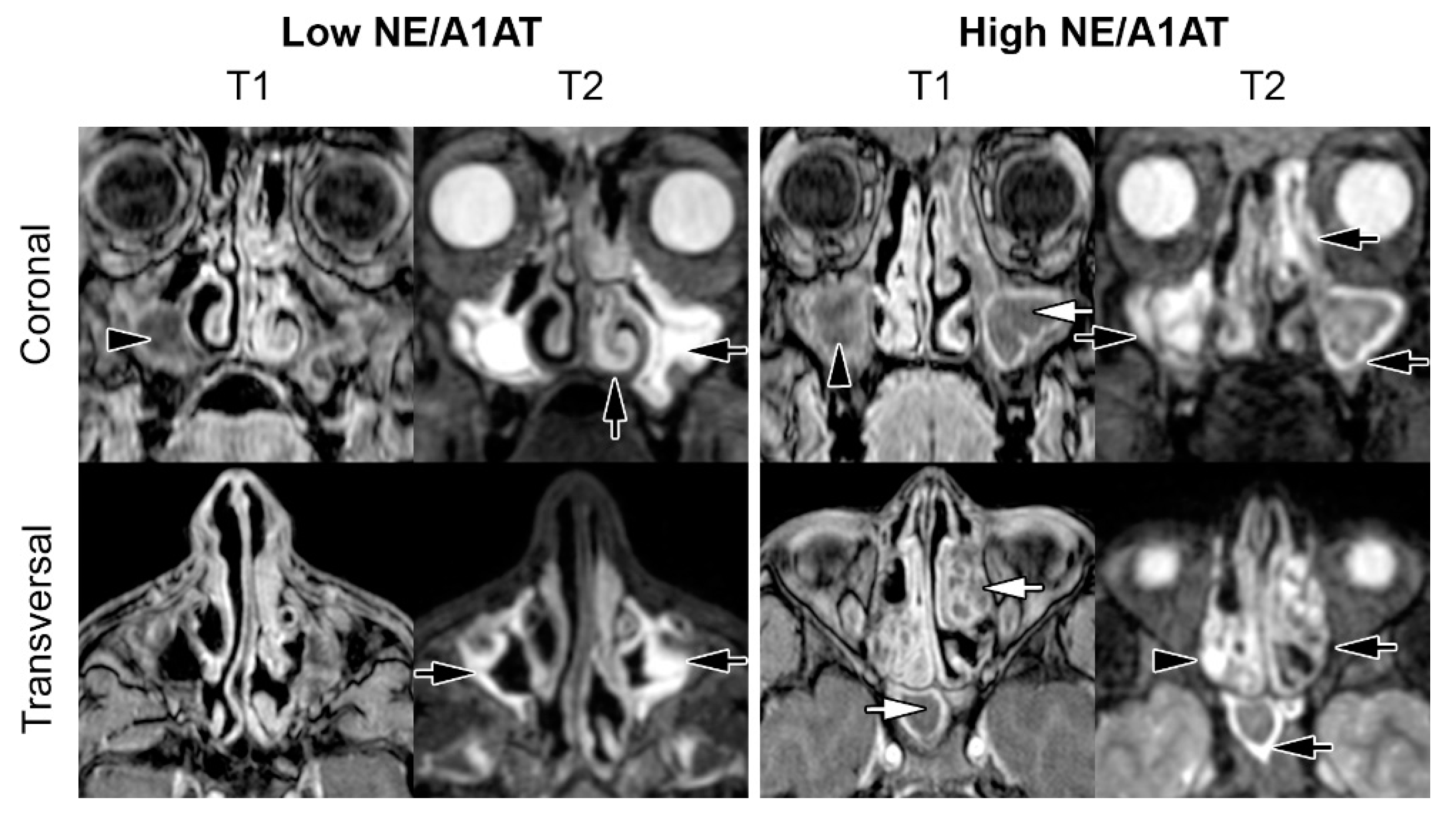 Antioxidants 10 01412 g003