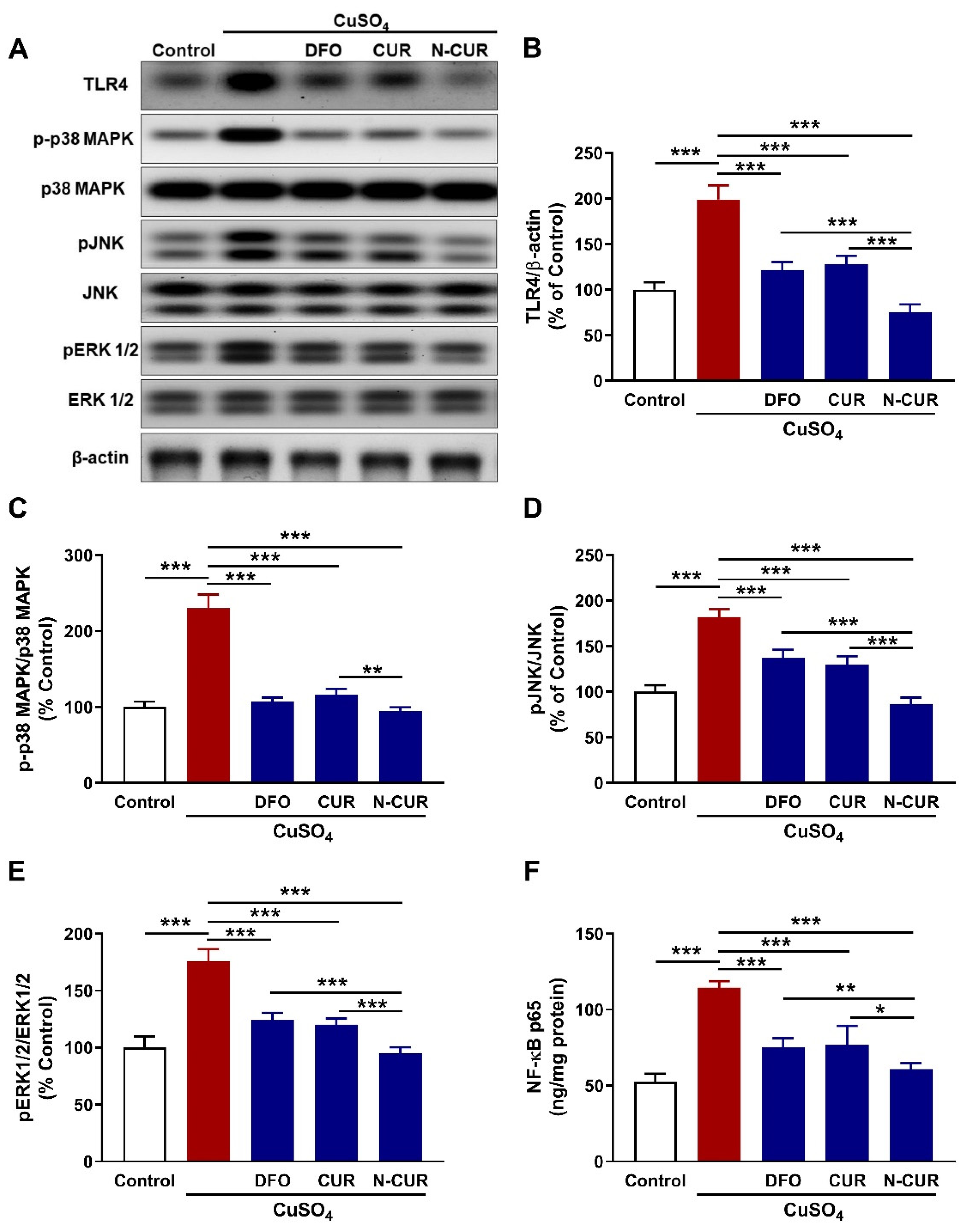 Antioxidants 10 01414 g004