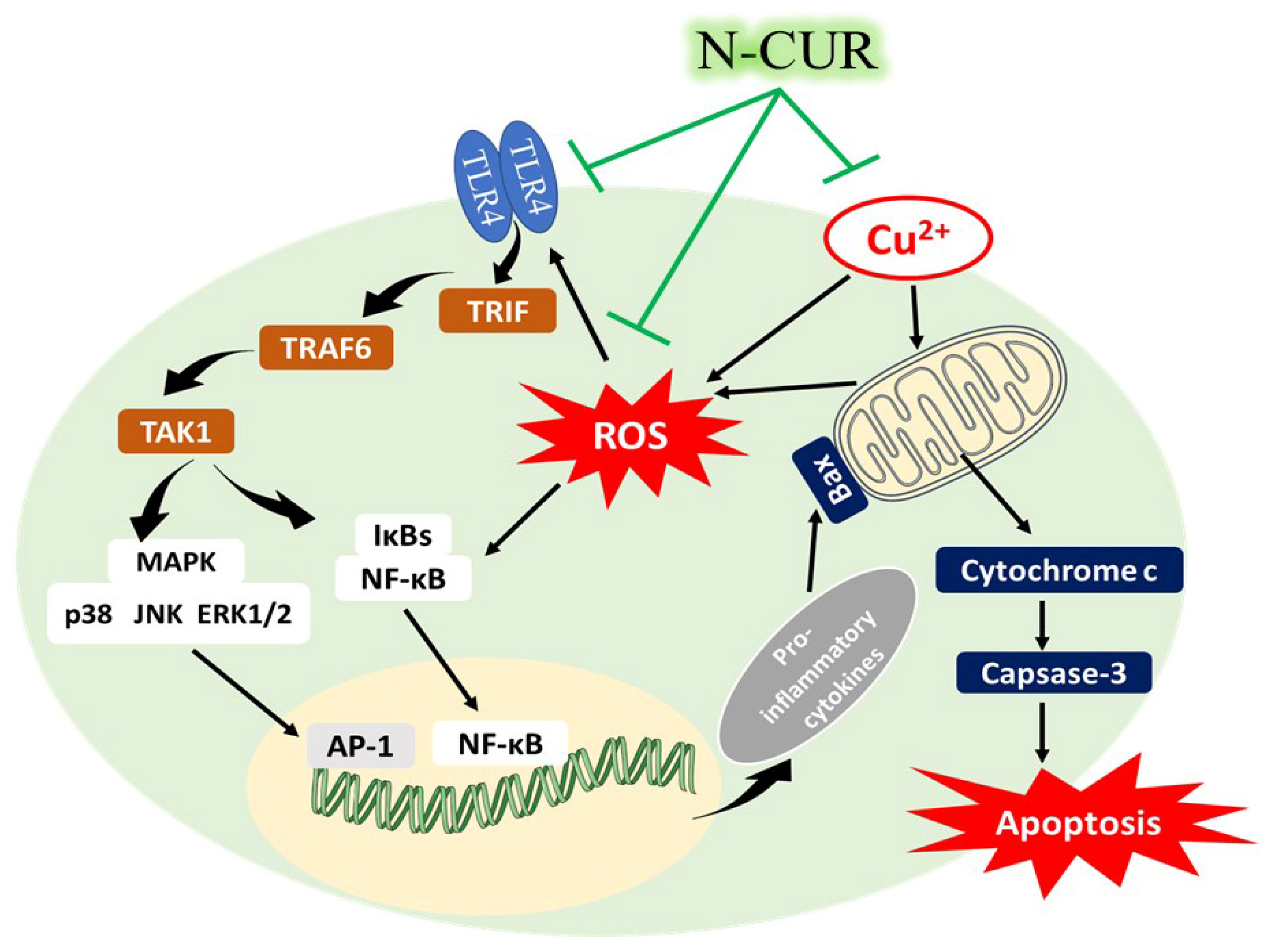 Antioxidants 10 01414 g007