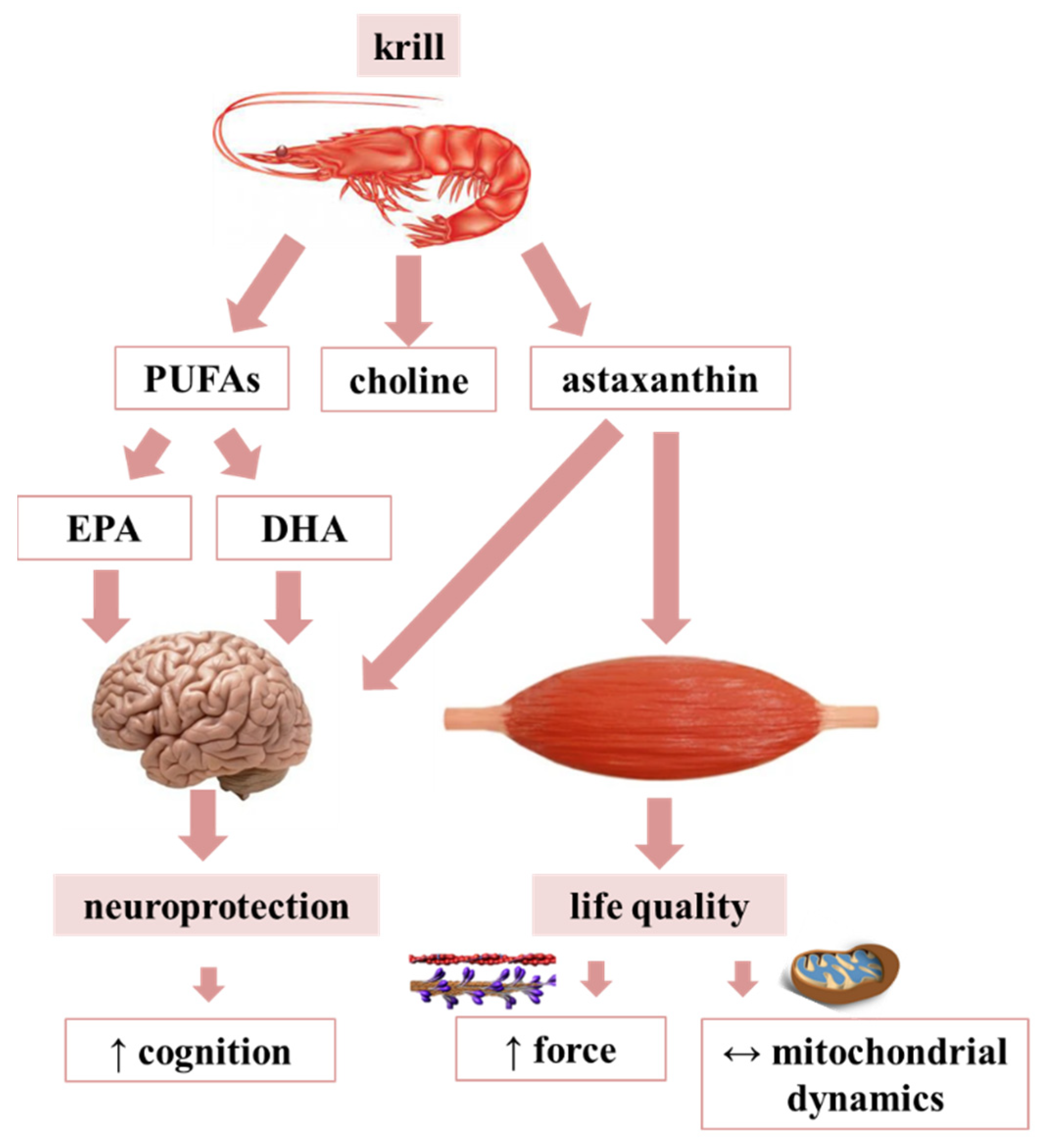 Antioxidants 10 01415 g007