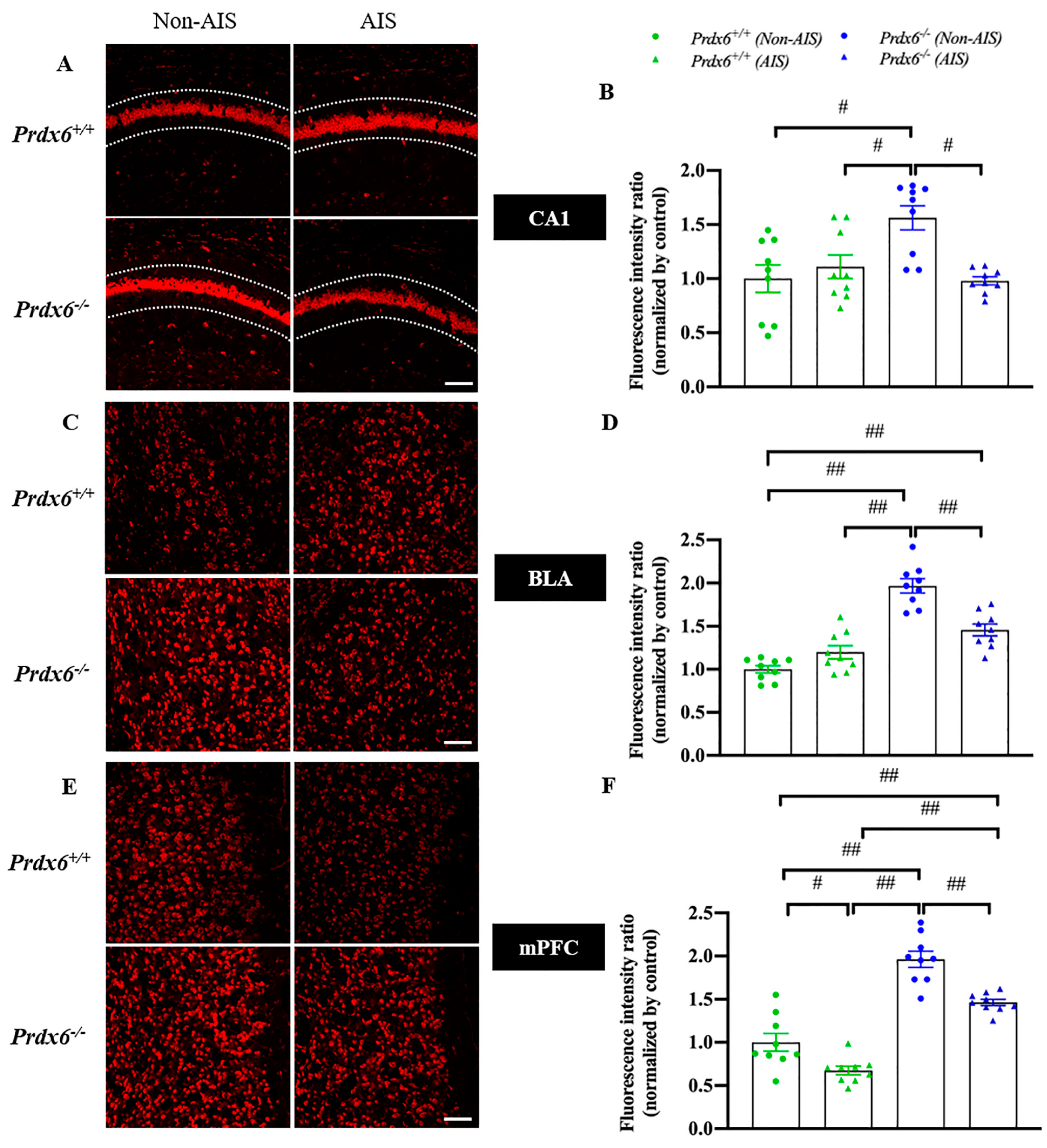 Antioxidants 10 01416 g004