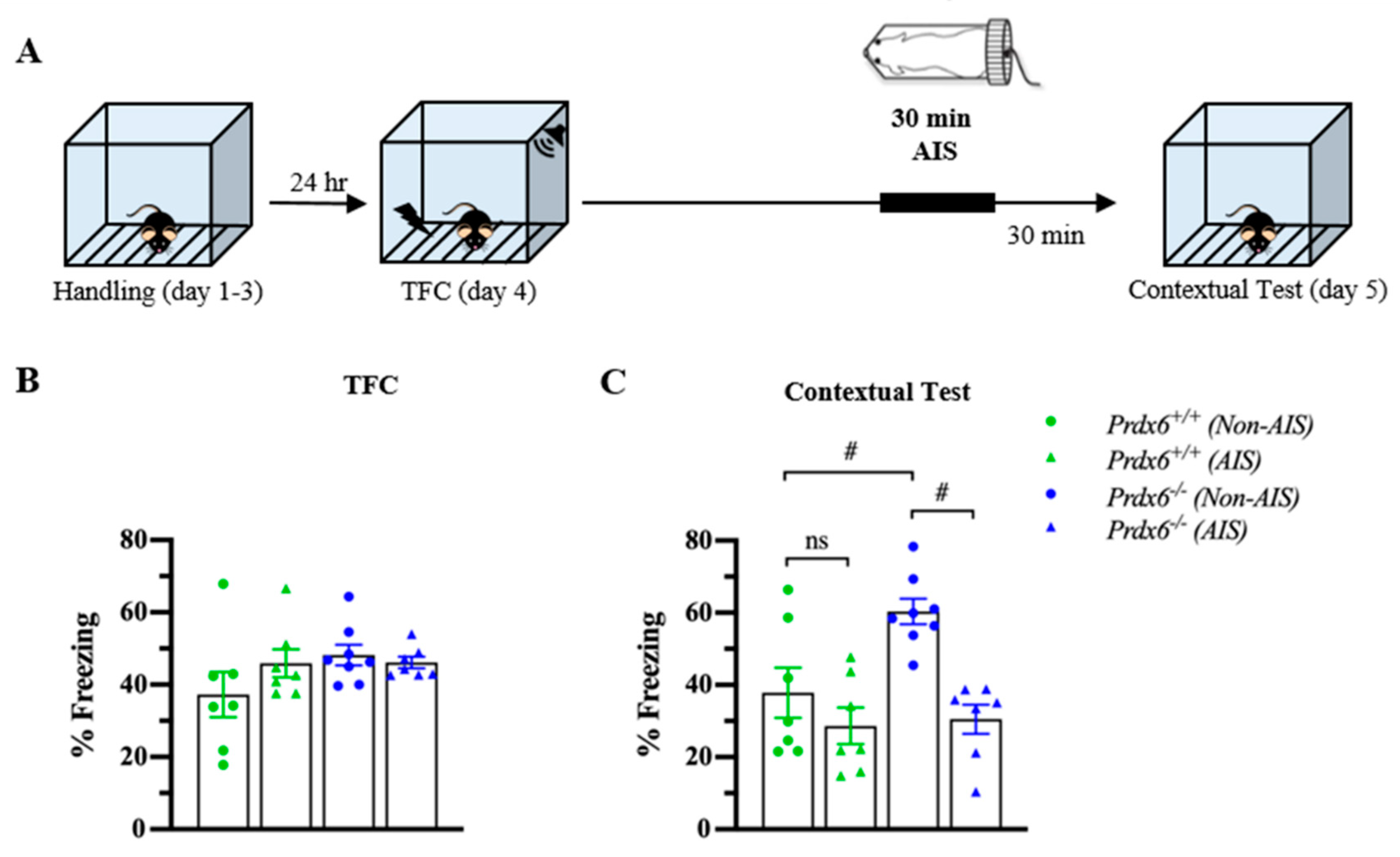 Antioxidants 10 01416 g006