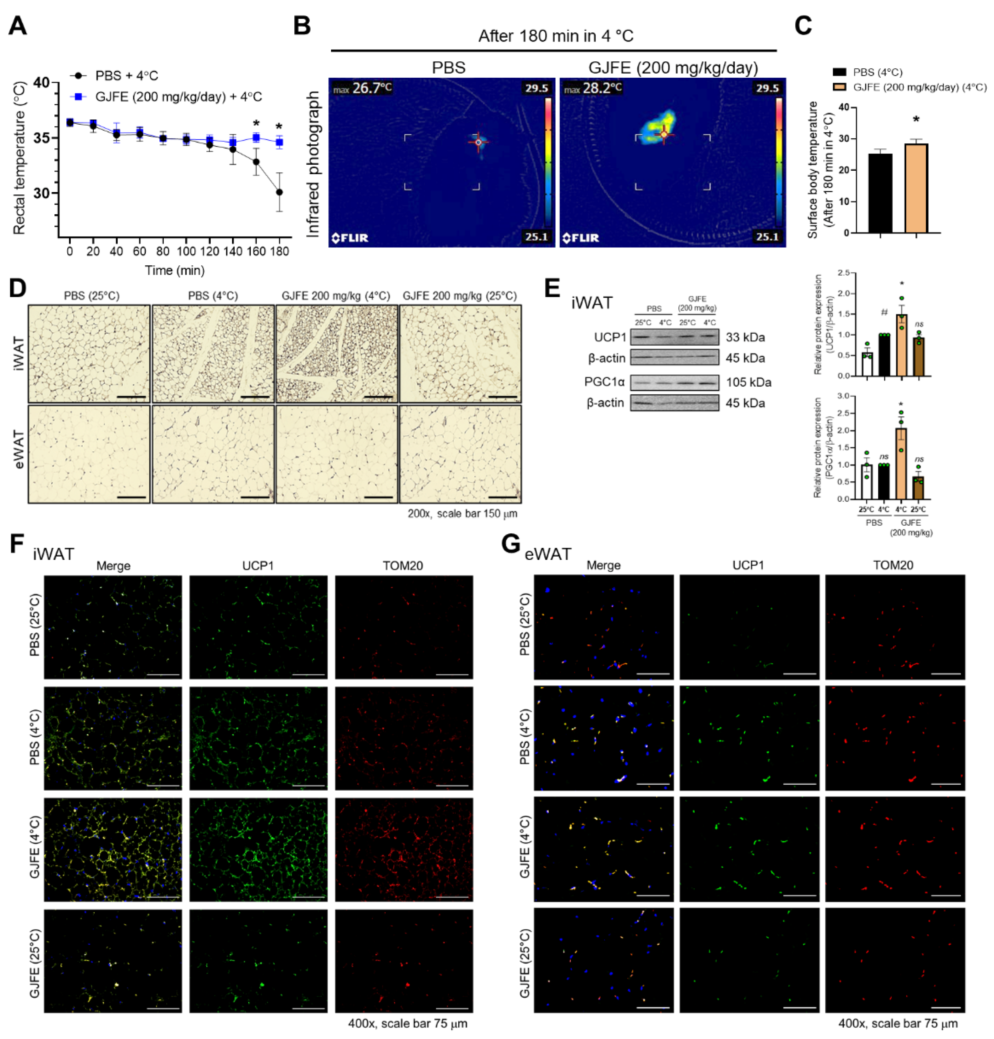 Antioxidants 10 01418 g001
