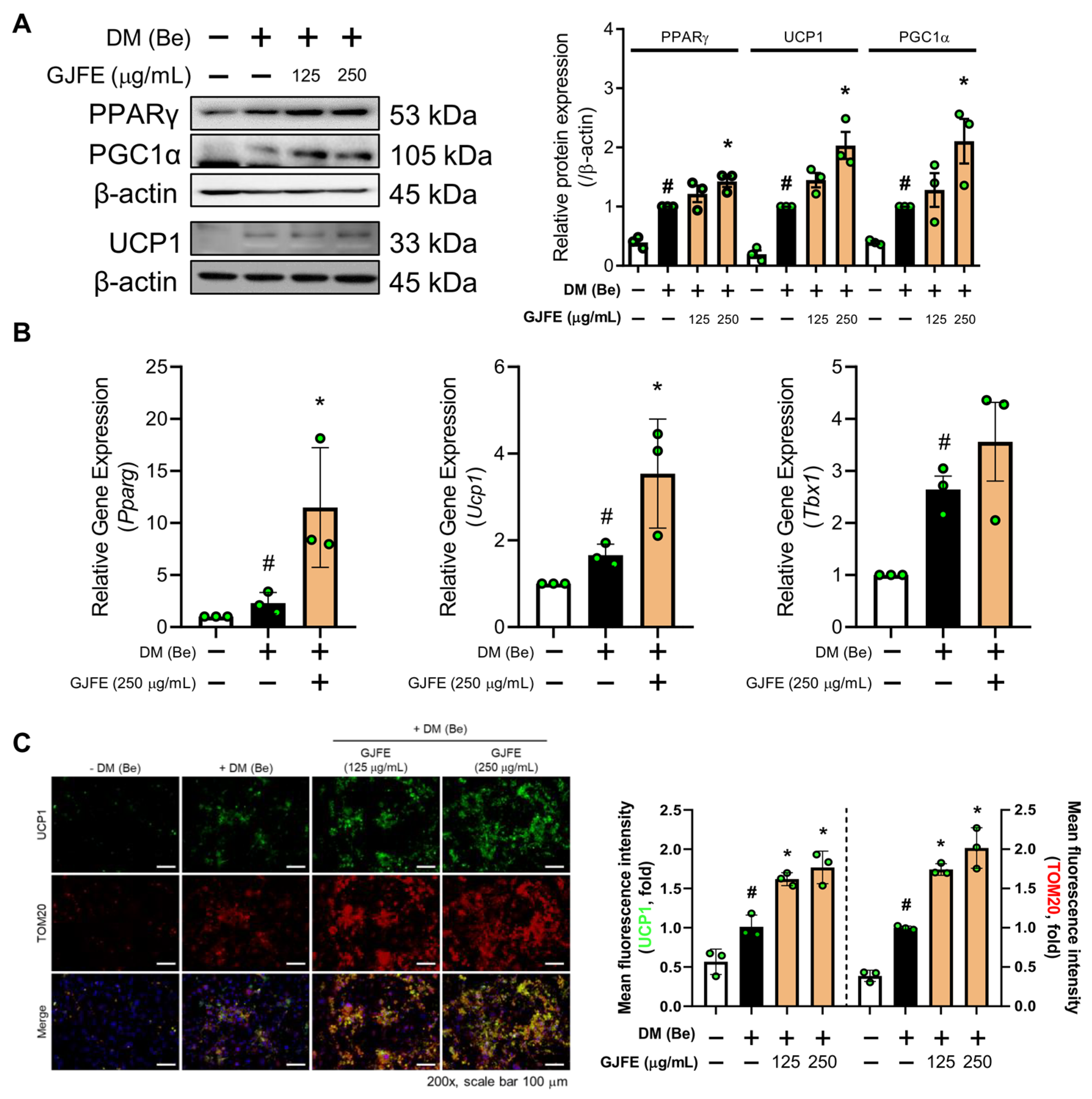 Antioxidants 10 01418 g003
