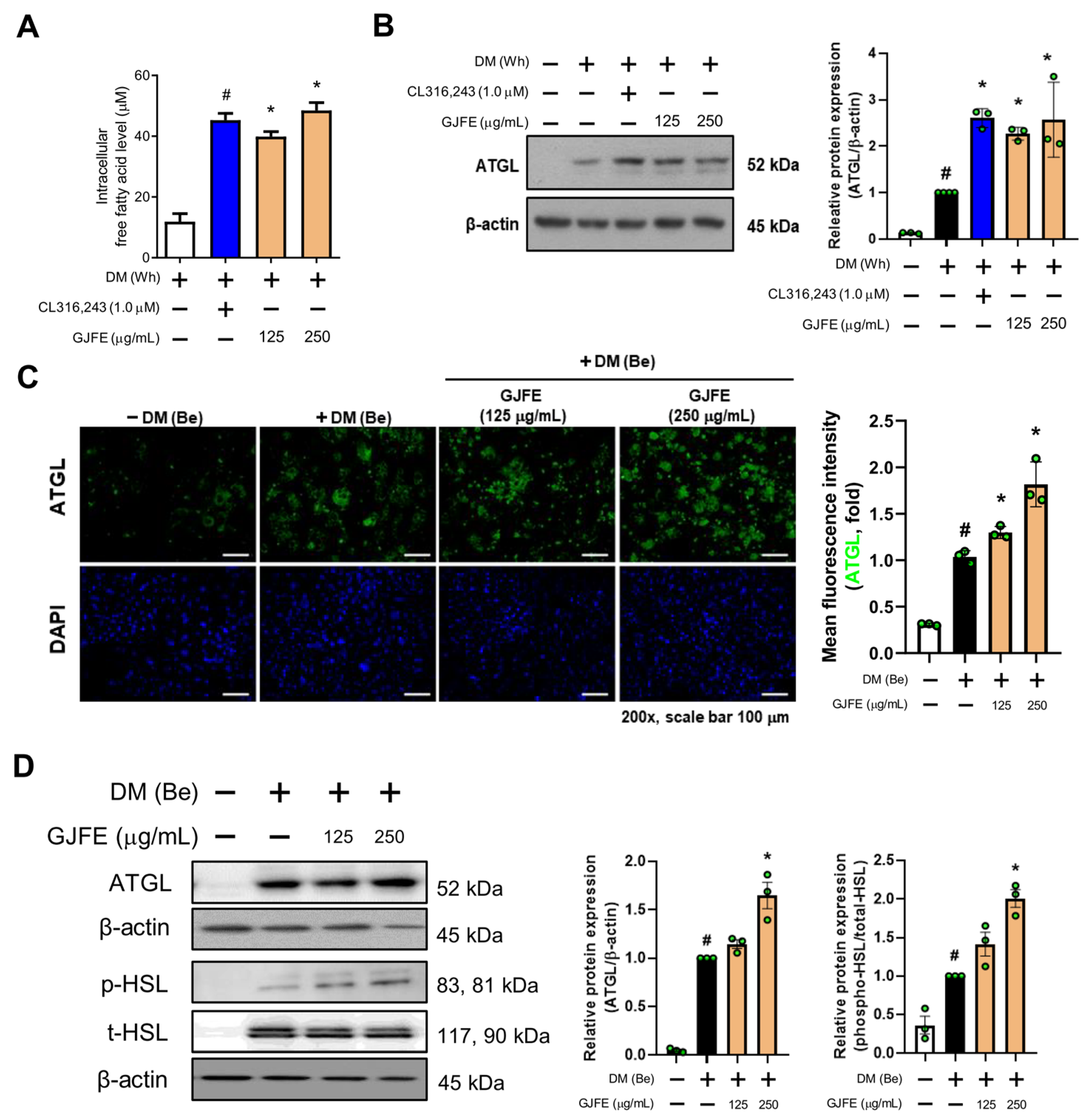Antioxidants 10 01418 g004