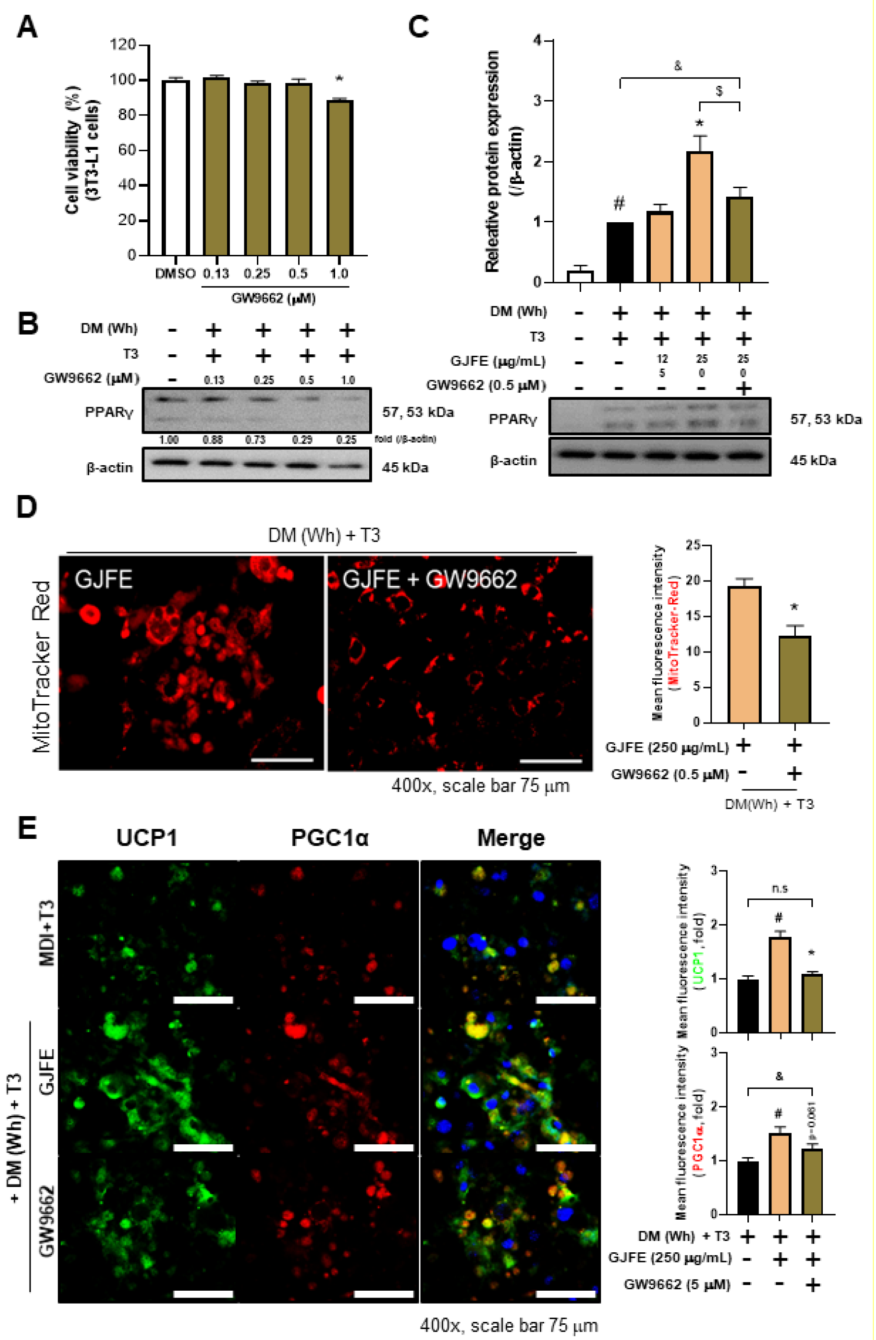 Antioxidants 10 01418 g007