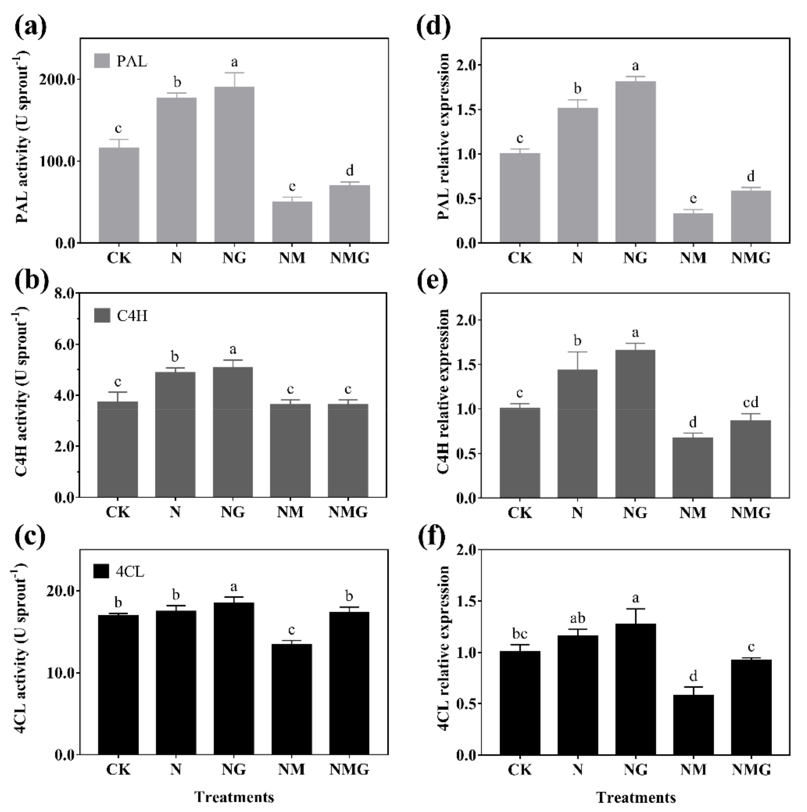 Antioxidants 10 01421 g005
