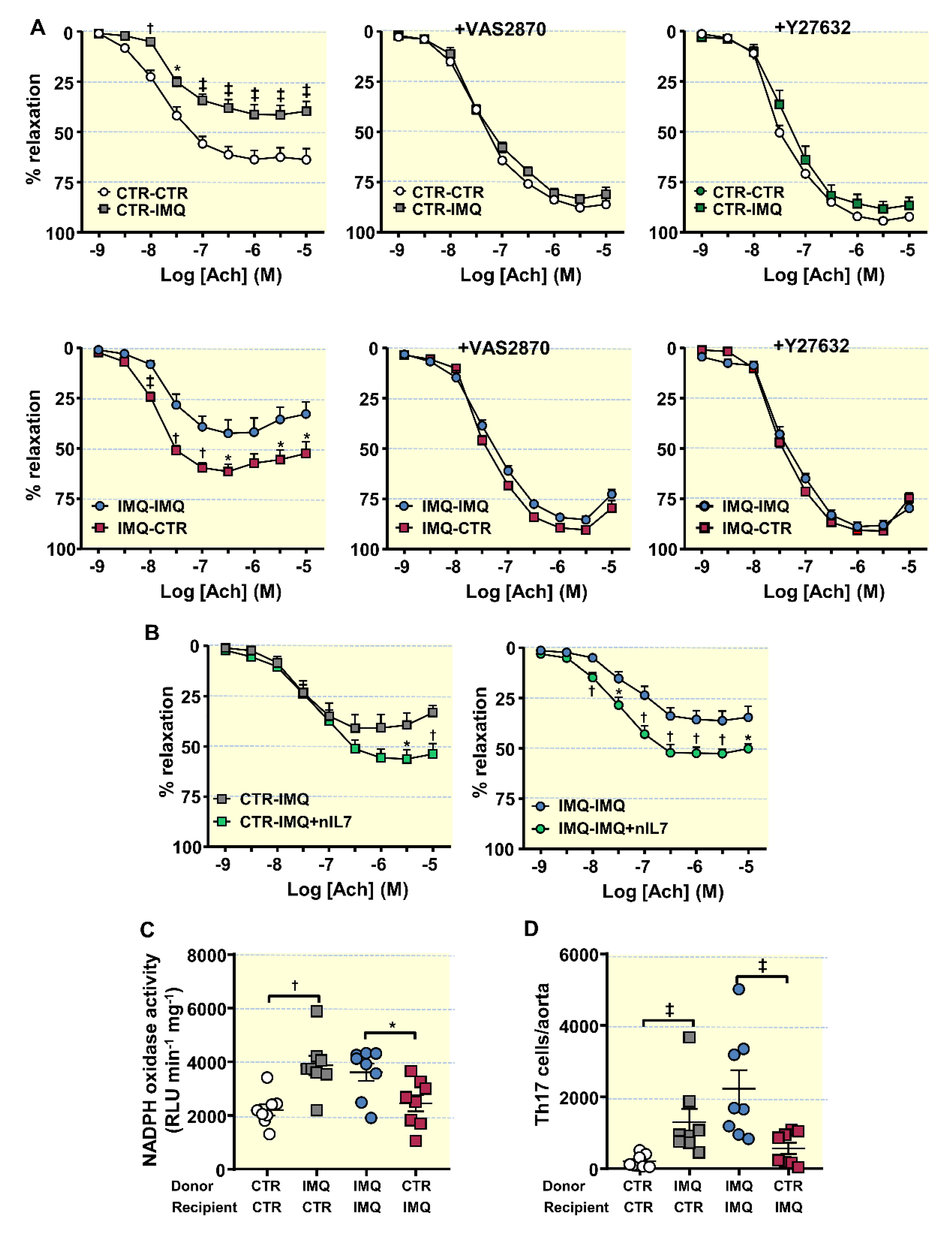 Antioxidants 10 01426 g006