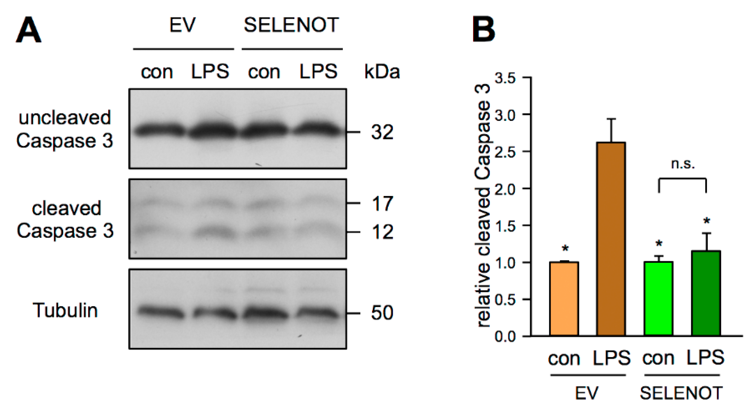 Antioxidants 10 01427 g005