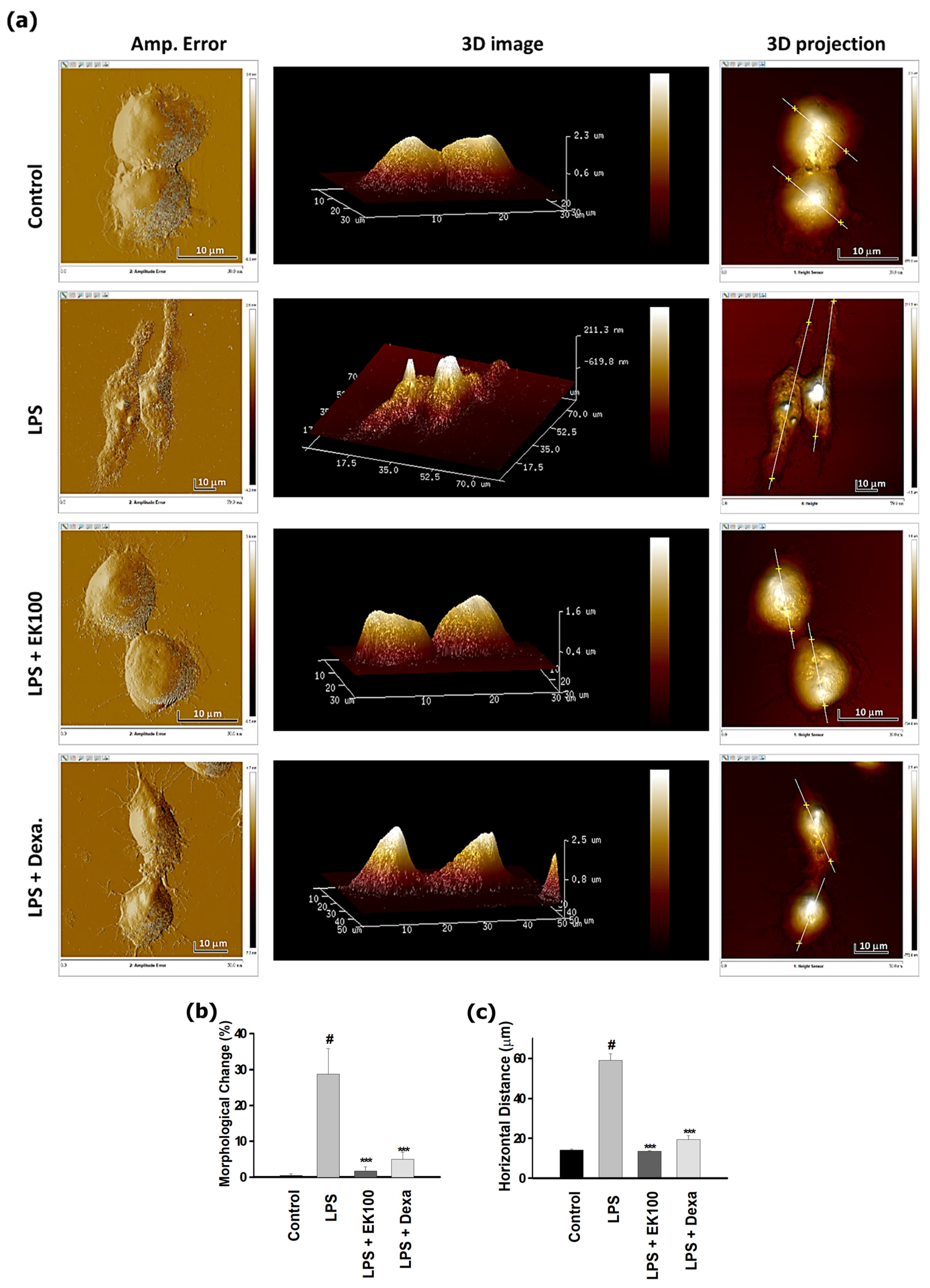 Antioxidants 10 01430 g002