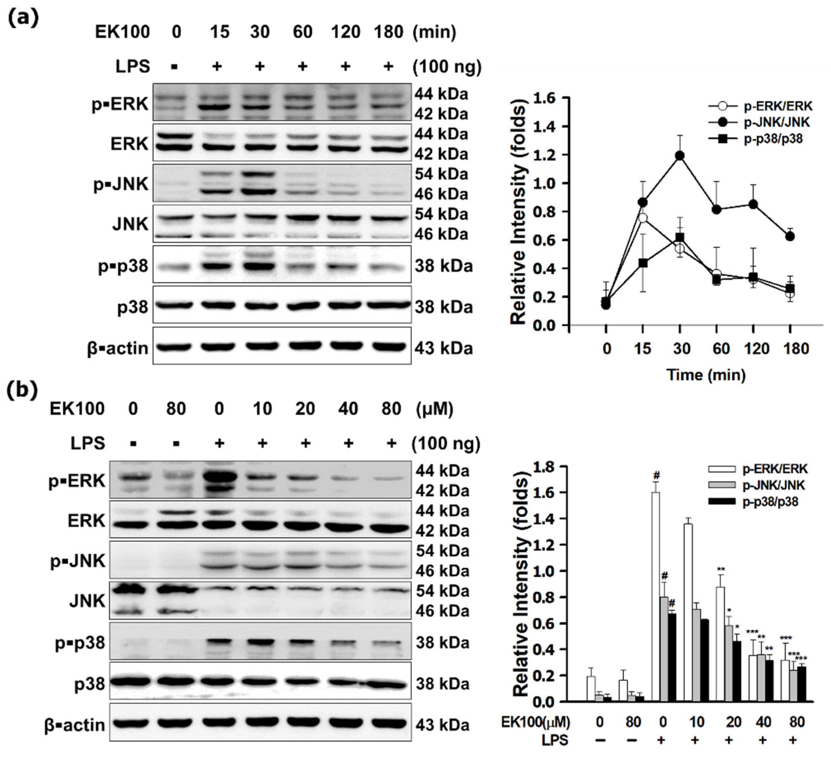 Antioxidants 10 01430 g003a
