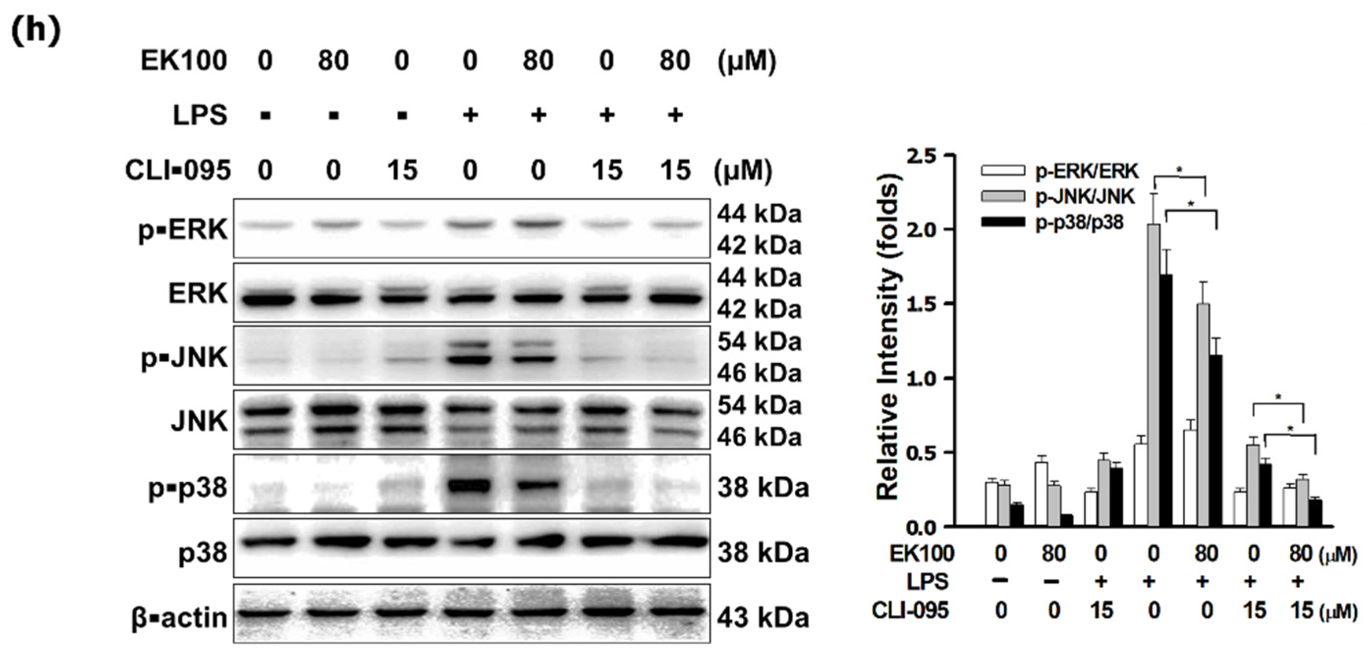 Antioxidants 10 01430 g003c