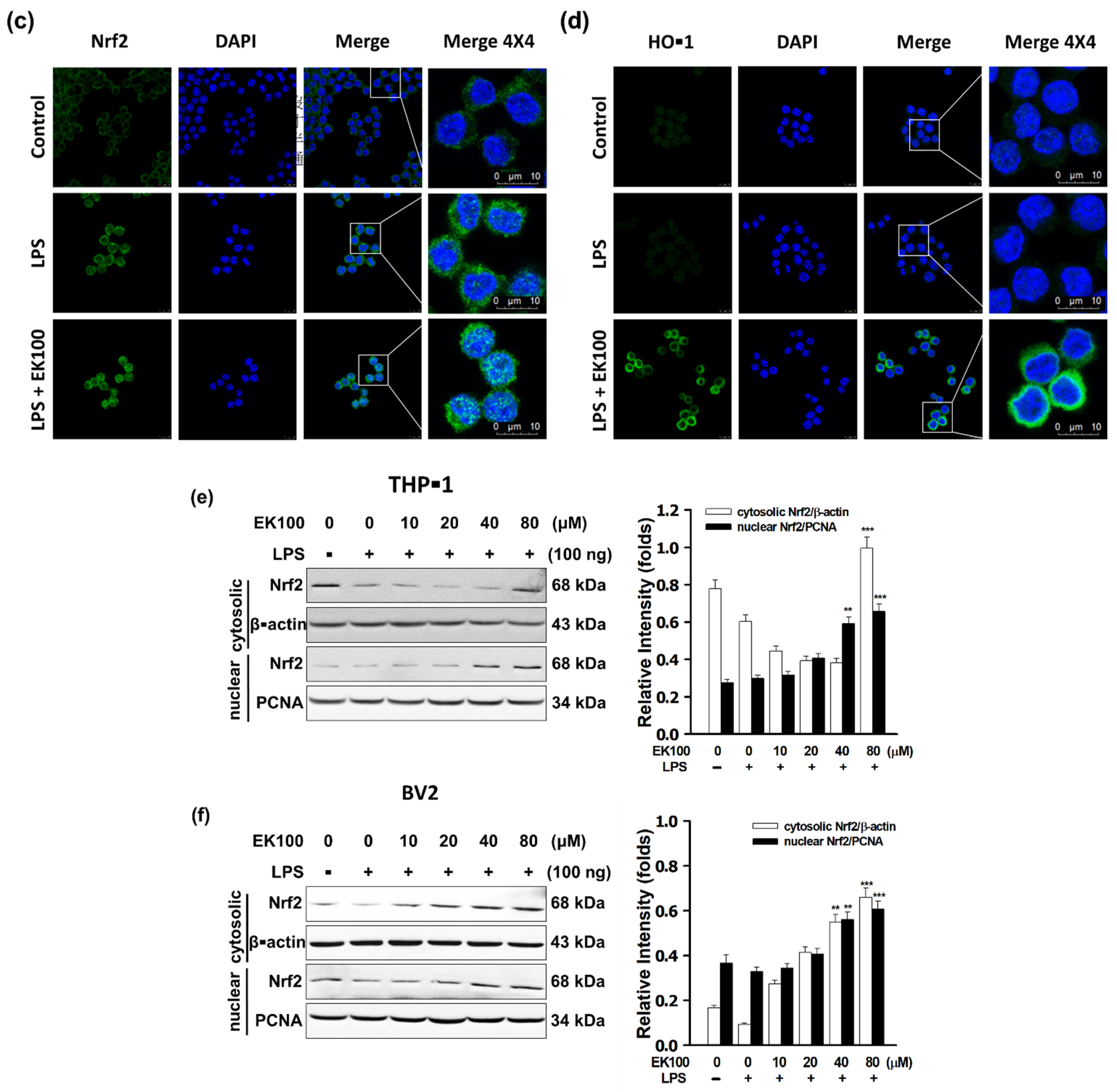 Antioxidants 10 01430 g005b
