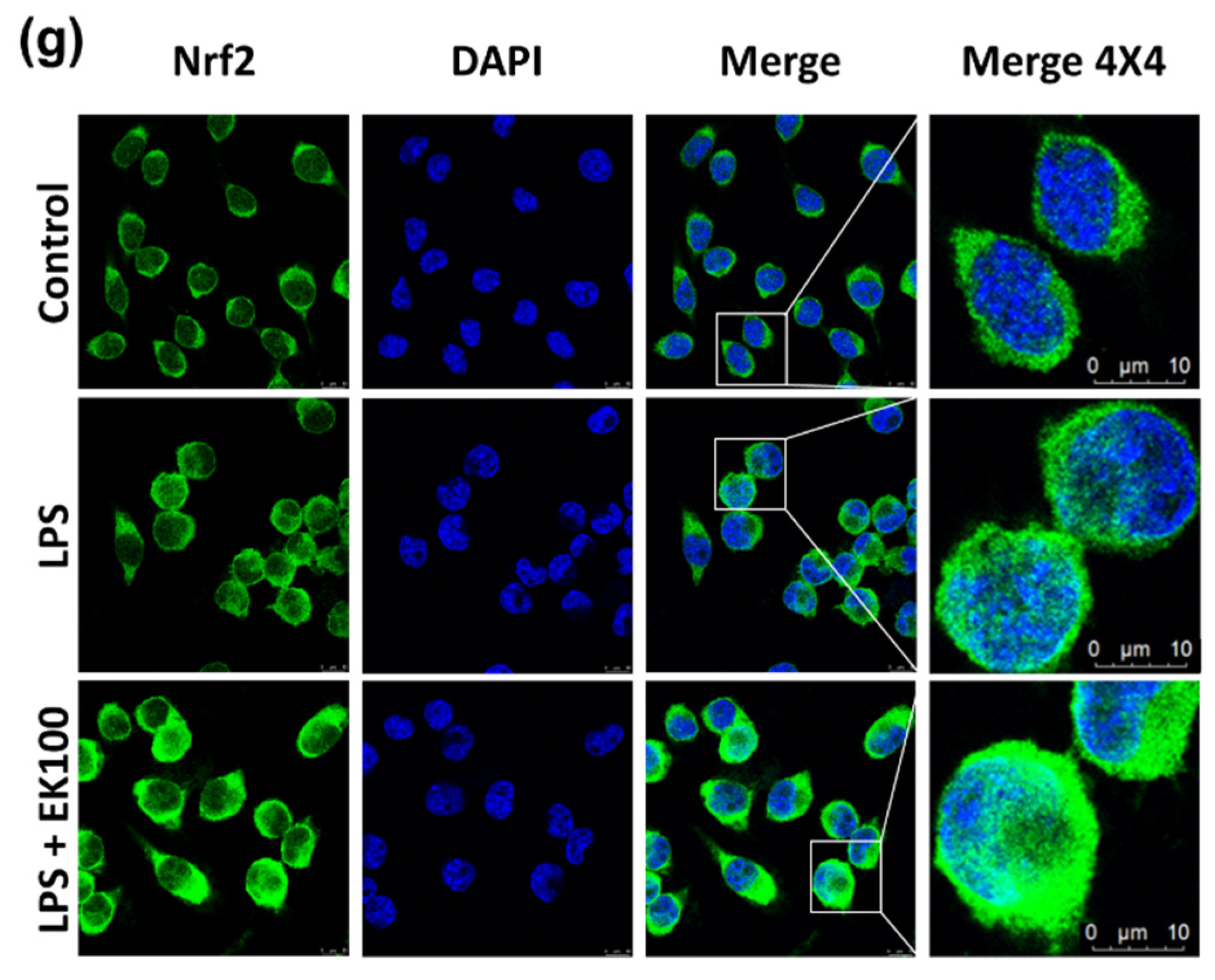 Antioxidants 10 01430 g005c