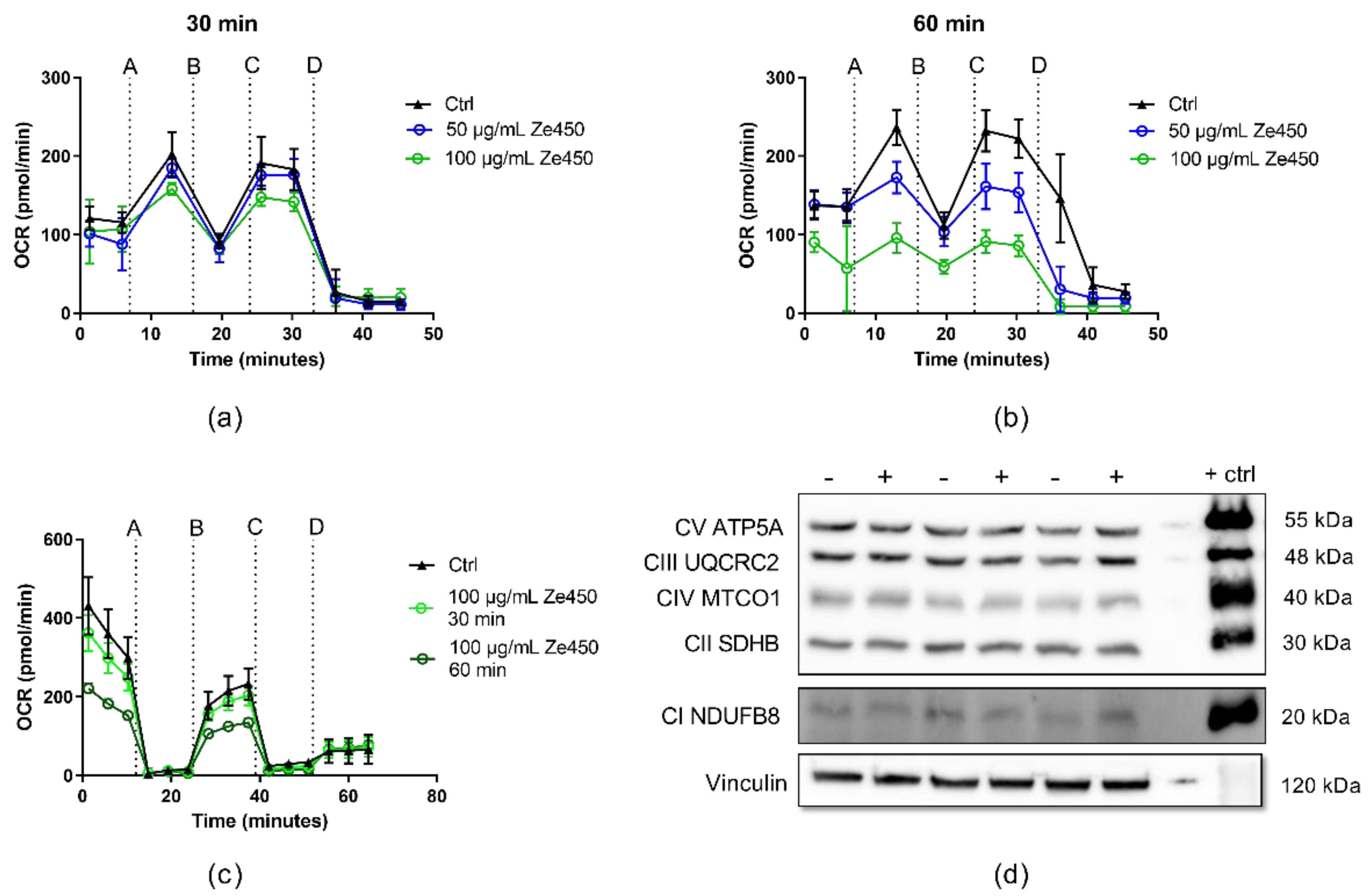 Antioxidants 10 01432 g002