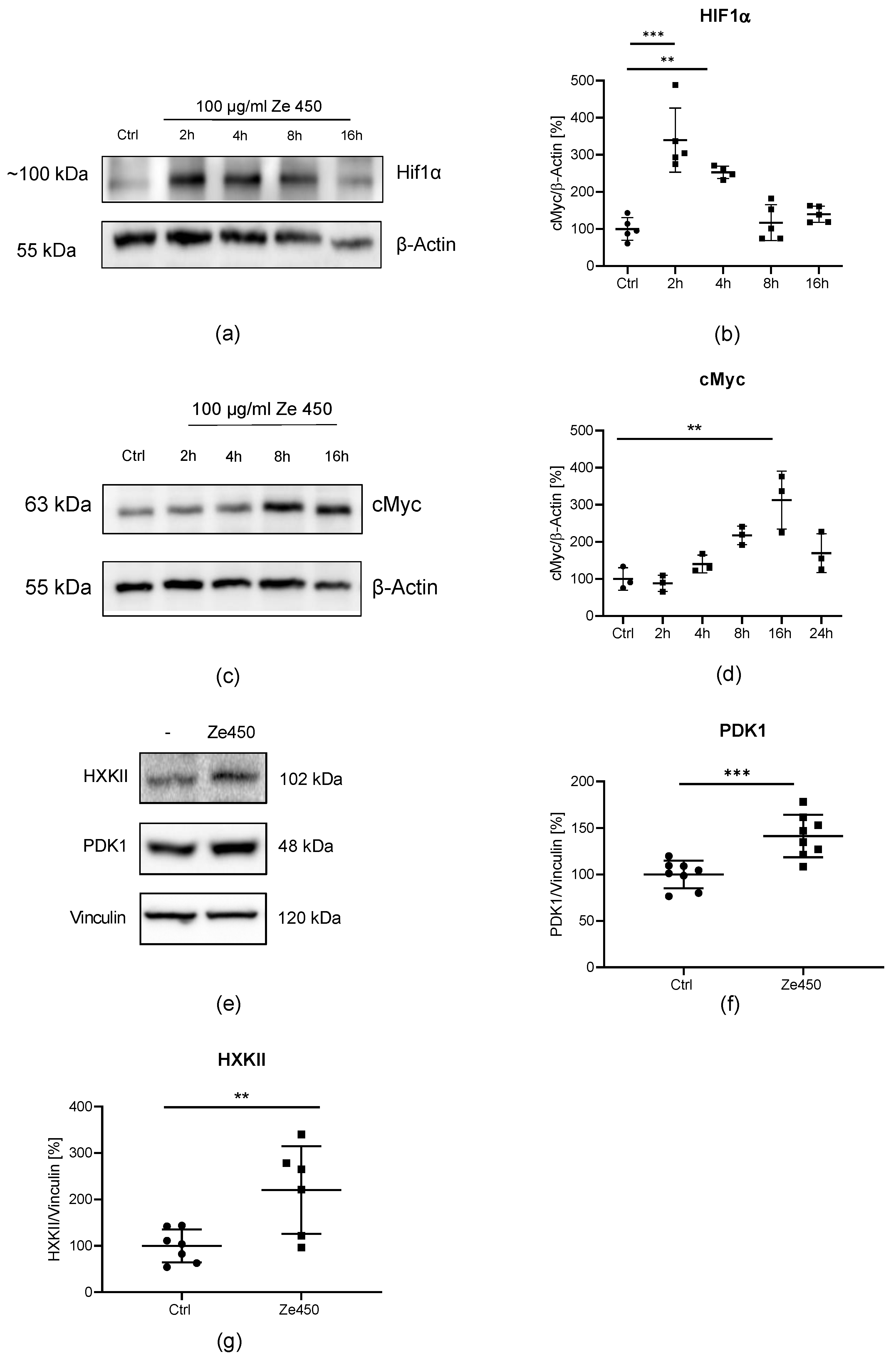 Antioxidants 10 01432 g003