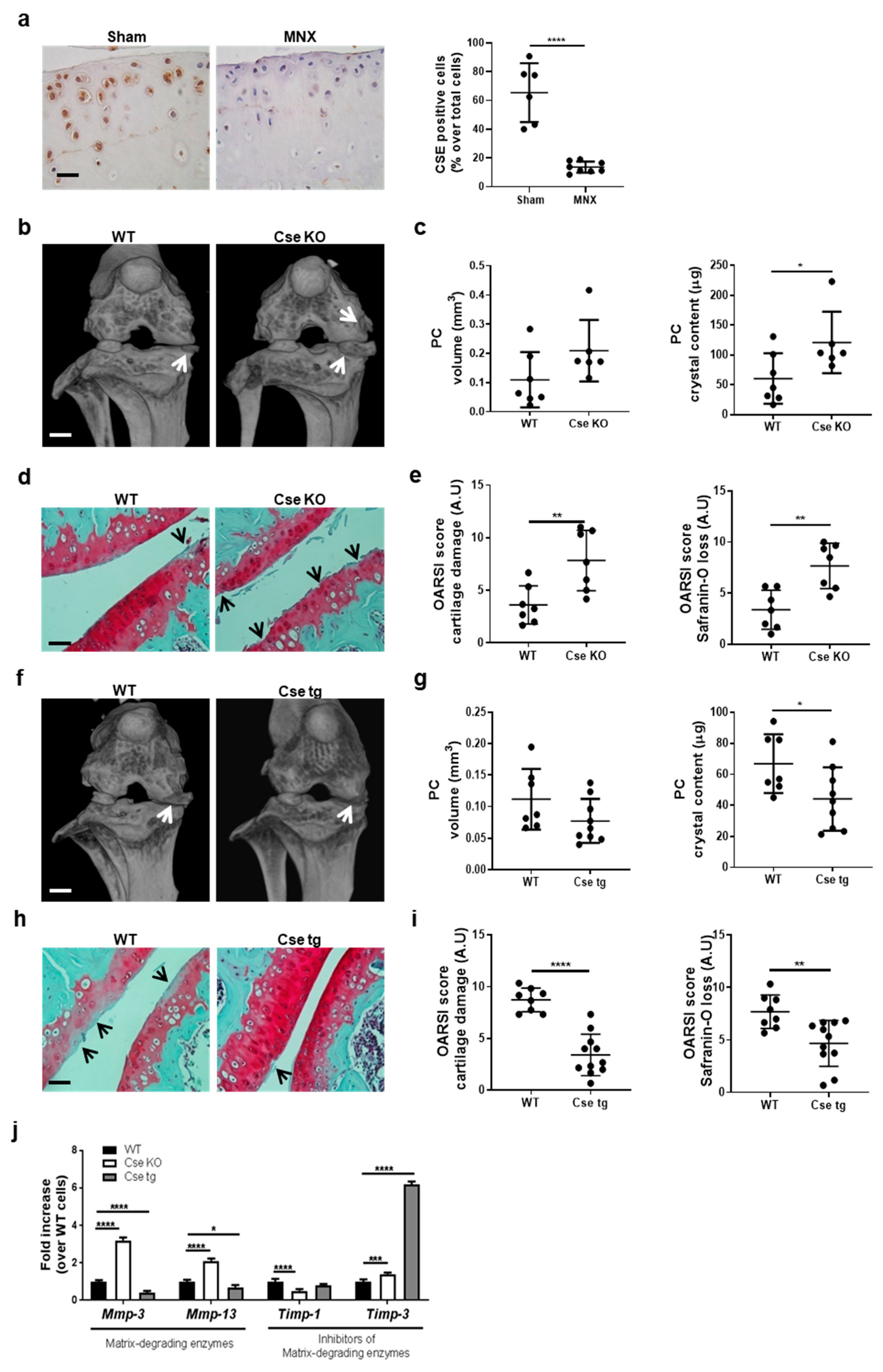 Antioxidants 10 01433 g001