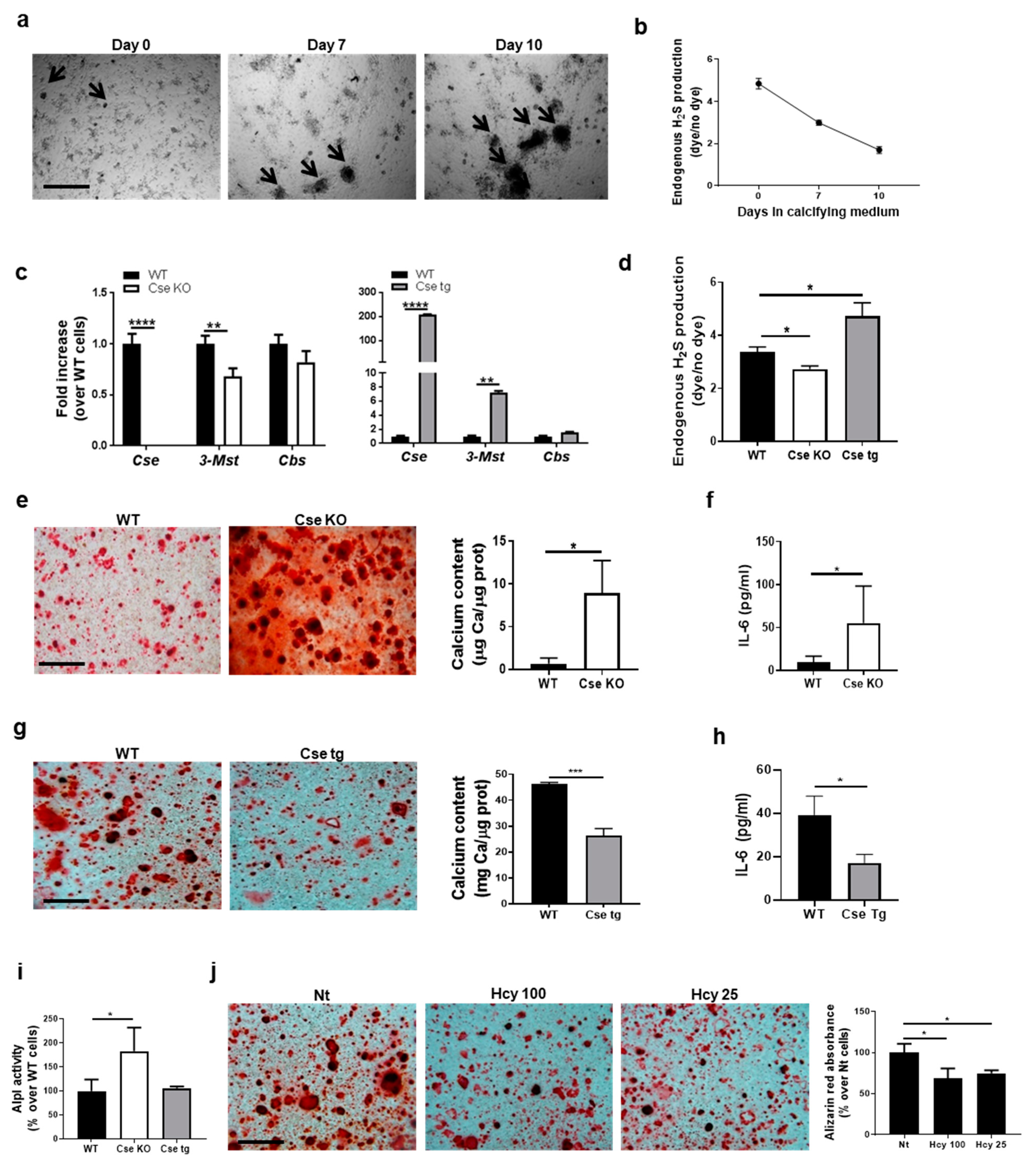 Antioxidants 10 01433 g002