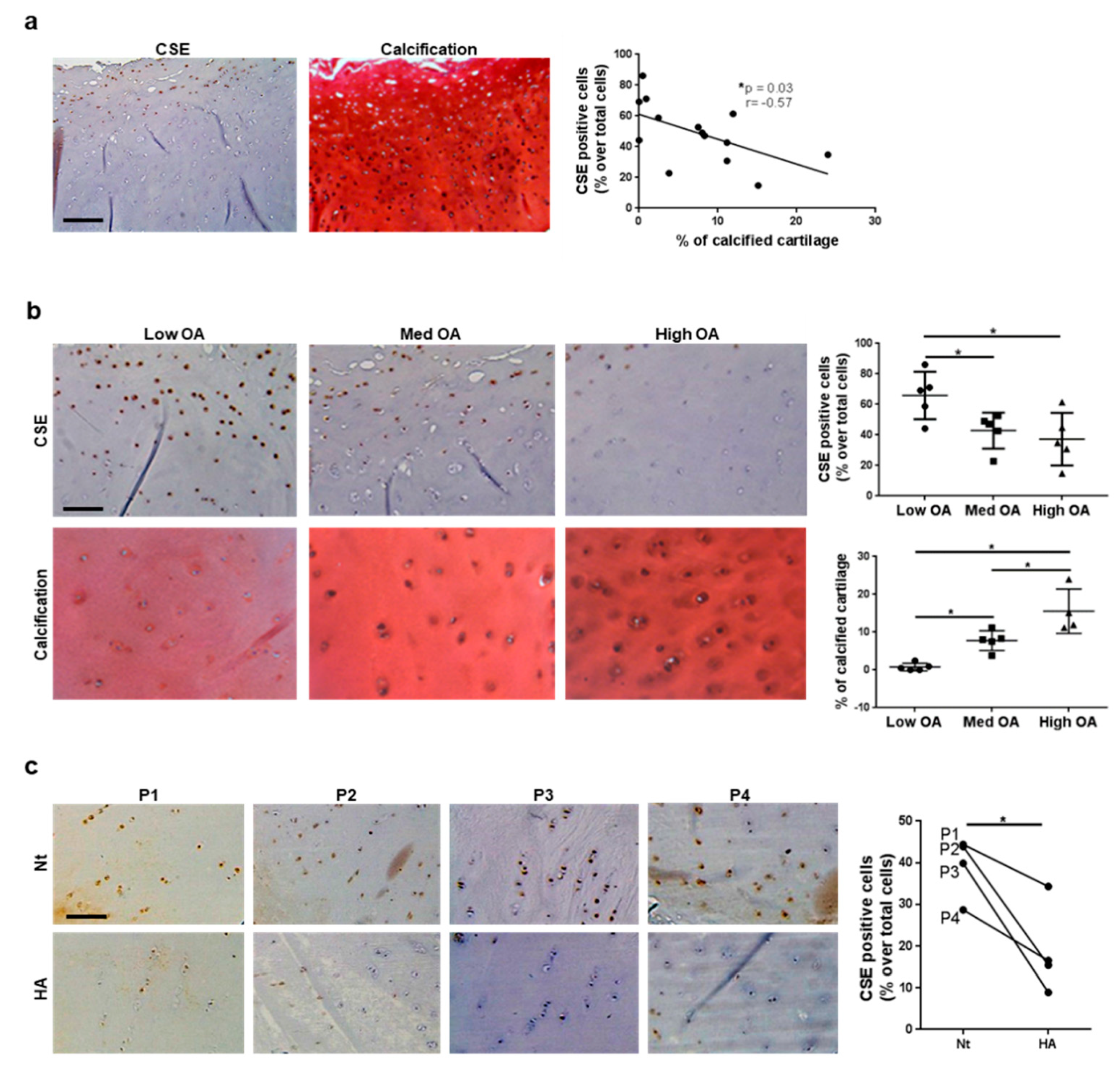 Antioxidants 10 01433 g003