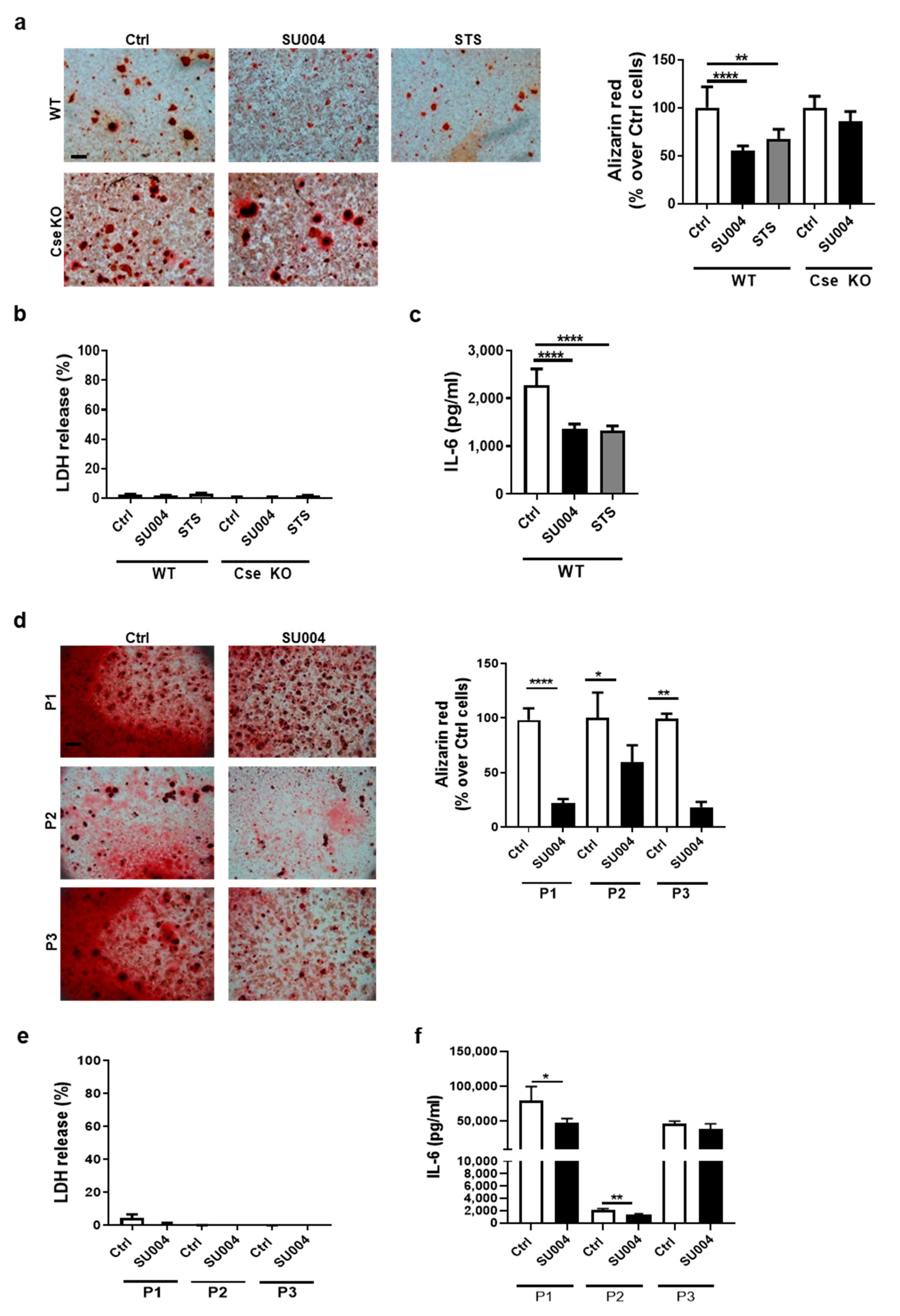 Antioxidants 10 01433 g004
