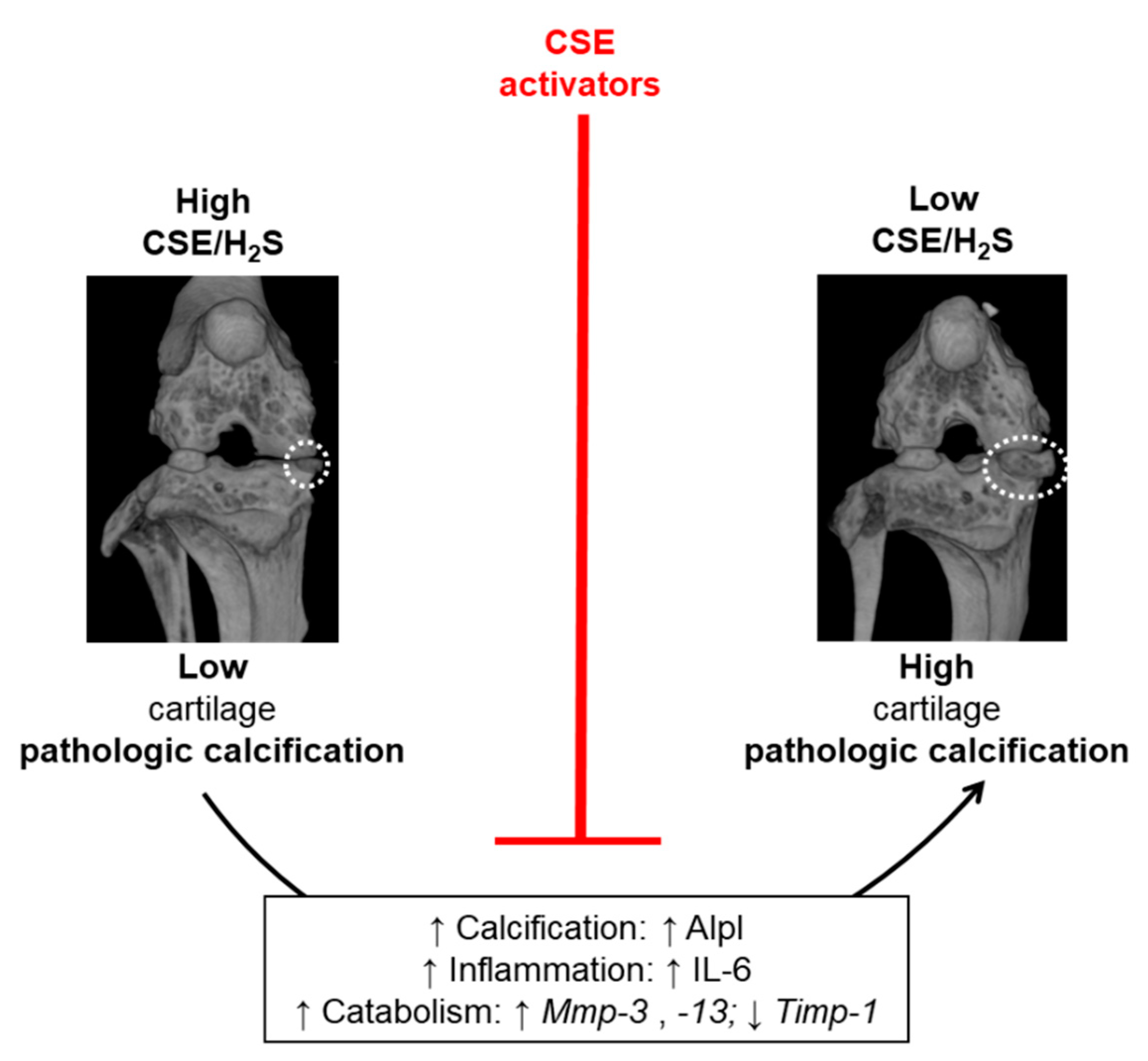 Antioxidants 10 01433 g005