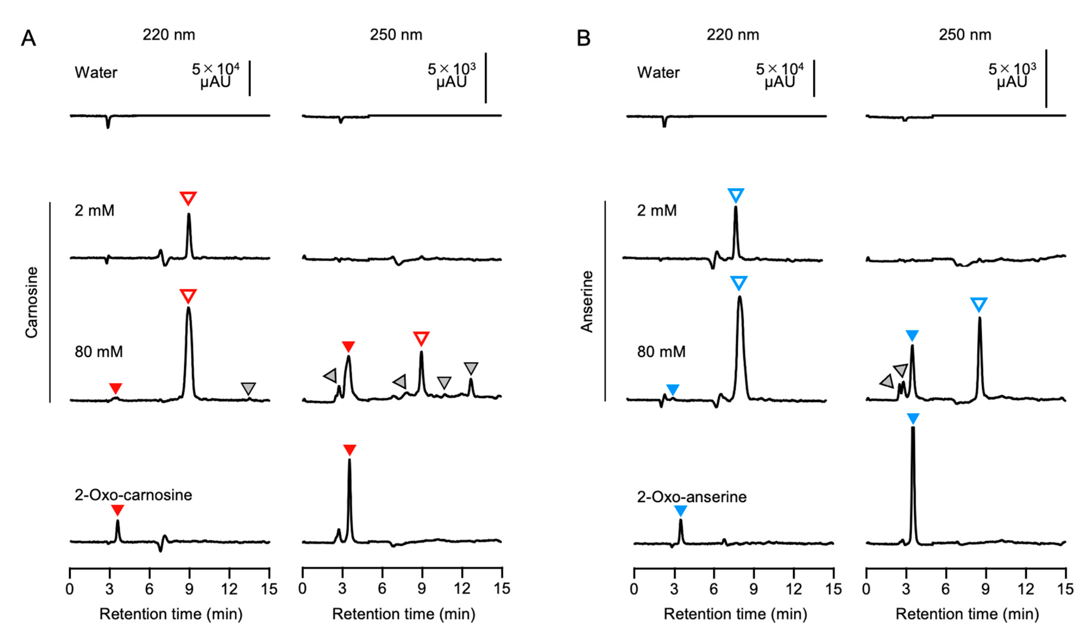 Antioxidants 10 01434 g004